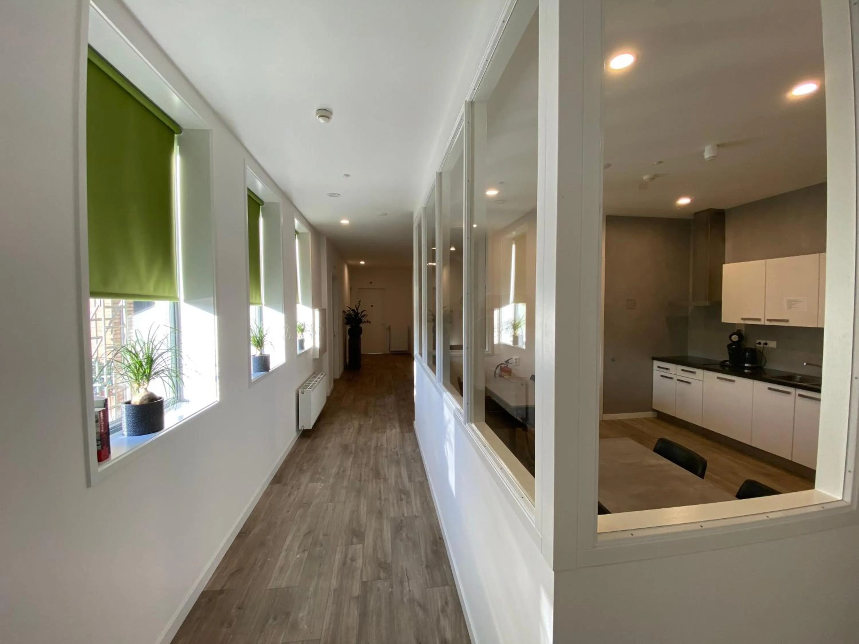 Communal kitchen, Bed in Short Stay Wageningen