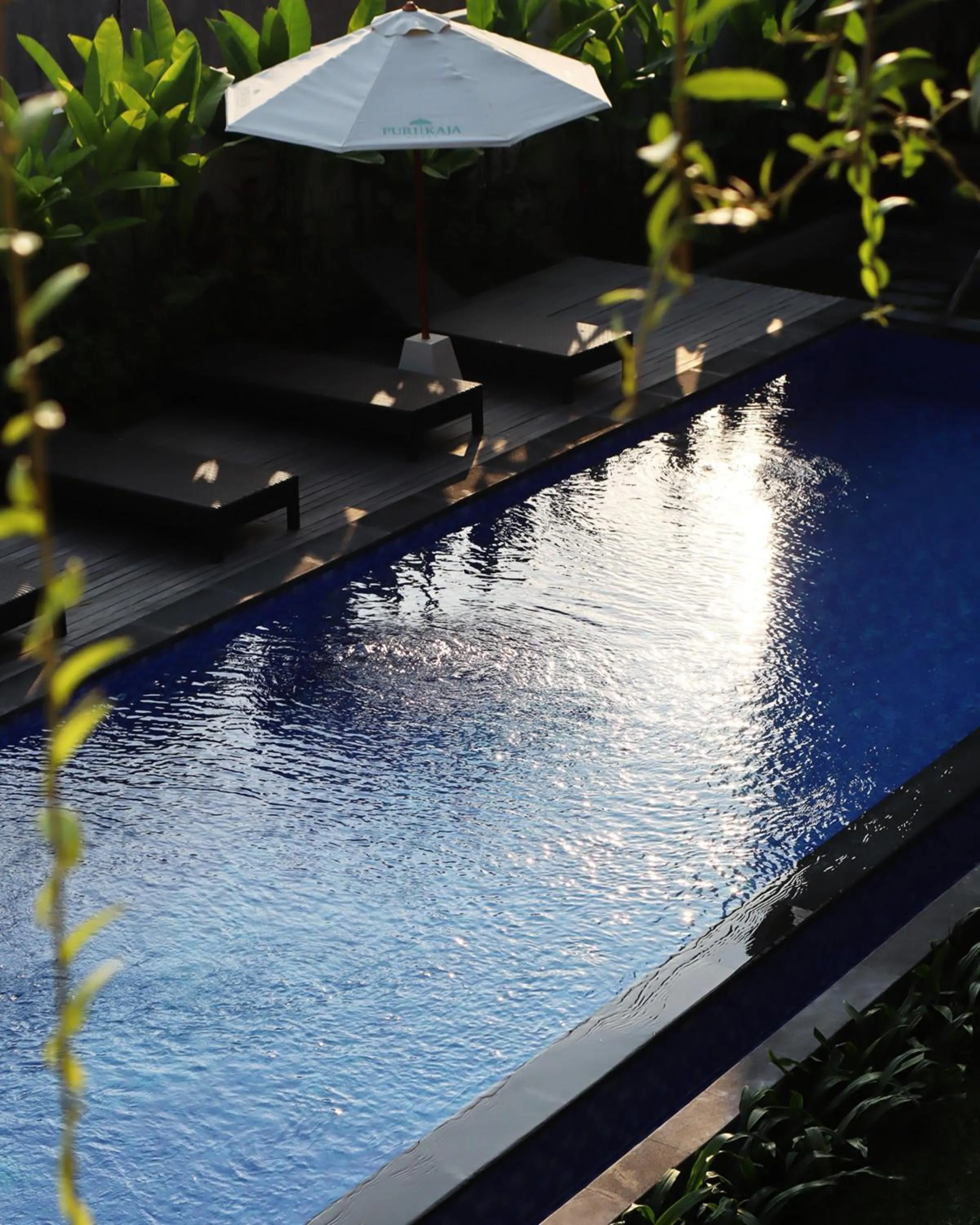 Day in Puri Kaja House