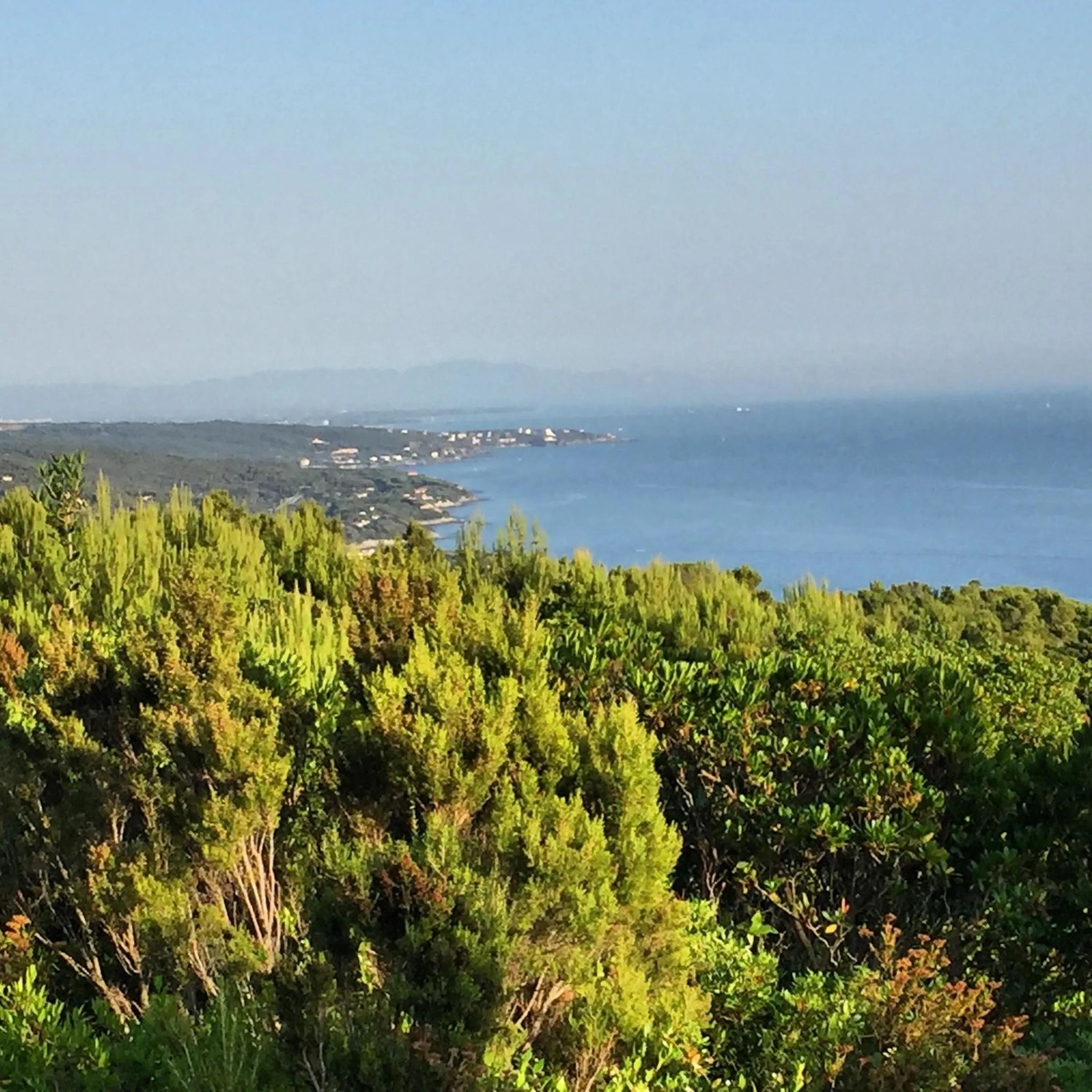 Natural landscape in Mediterranea Luxury House