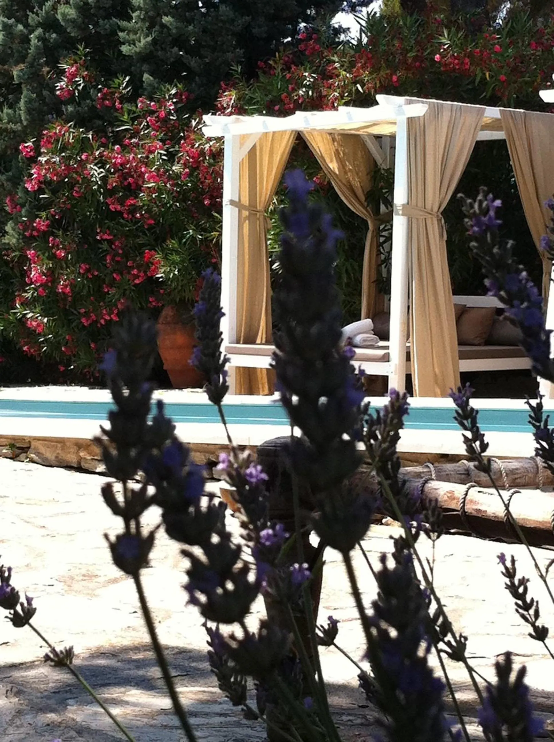 Spa and wellness centre/facilities in Mediterranea Luxury House
