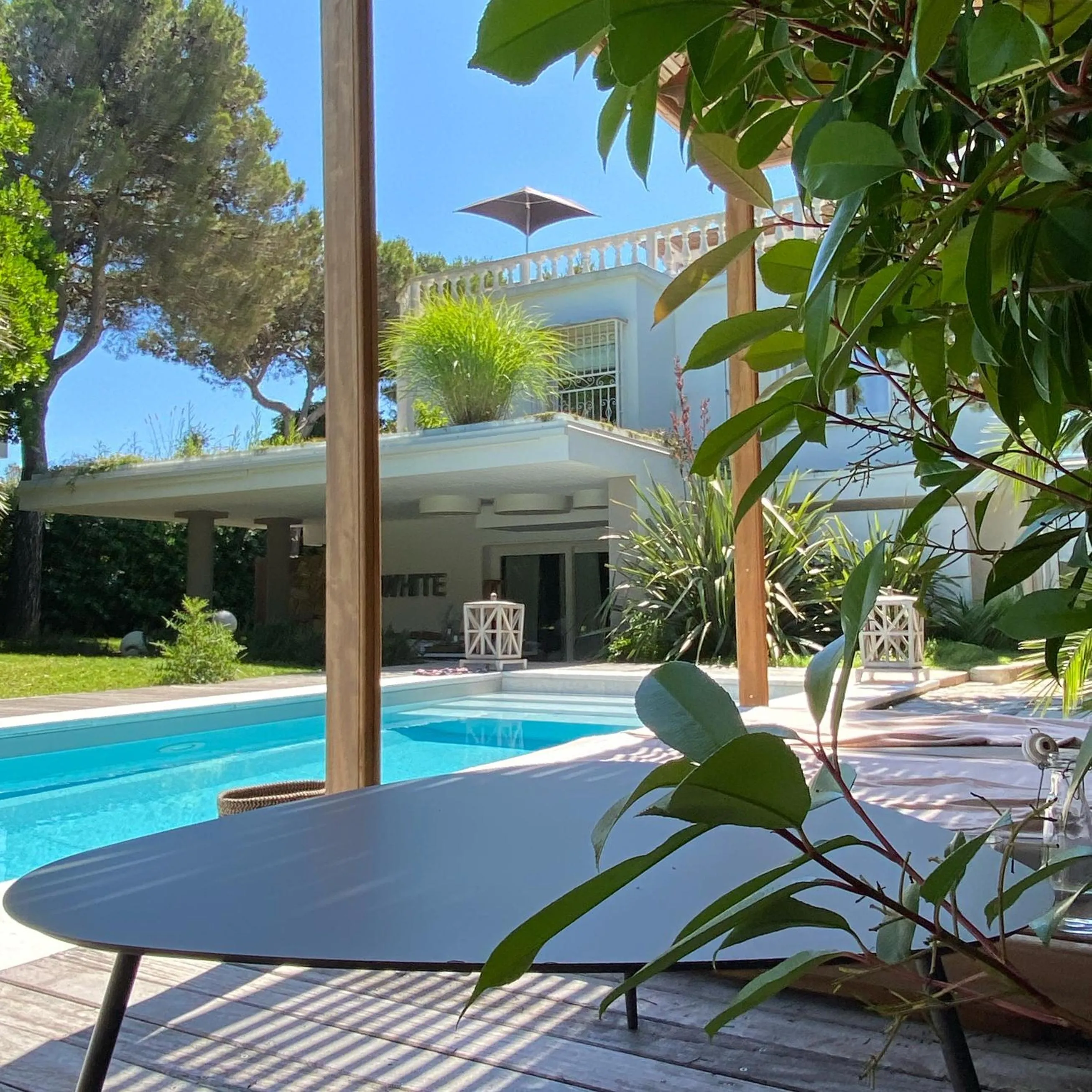 Garden in Mediterranea Luxury House