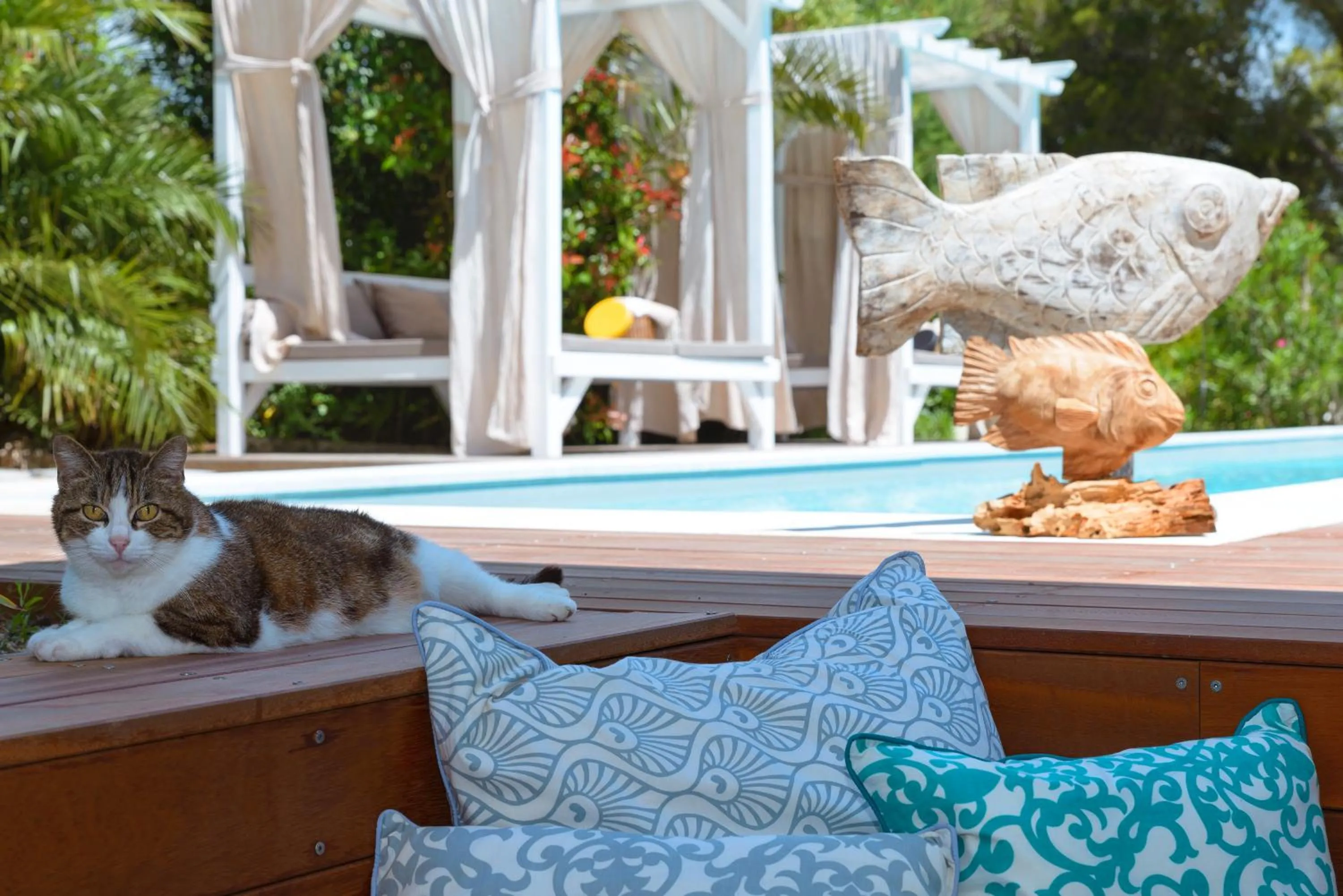 Decorative detail in Mediterranea Luxury House