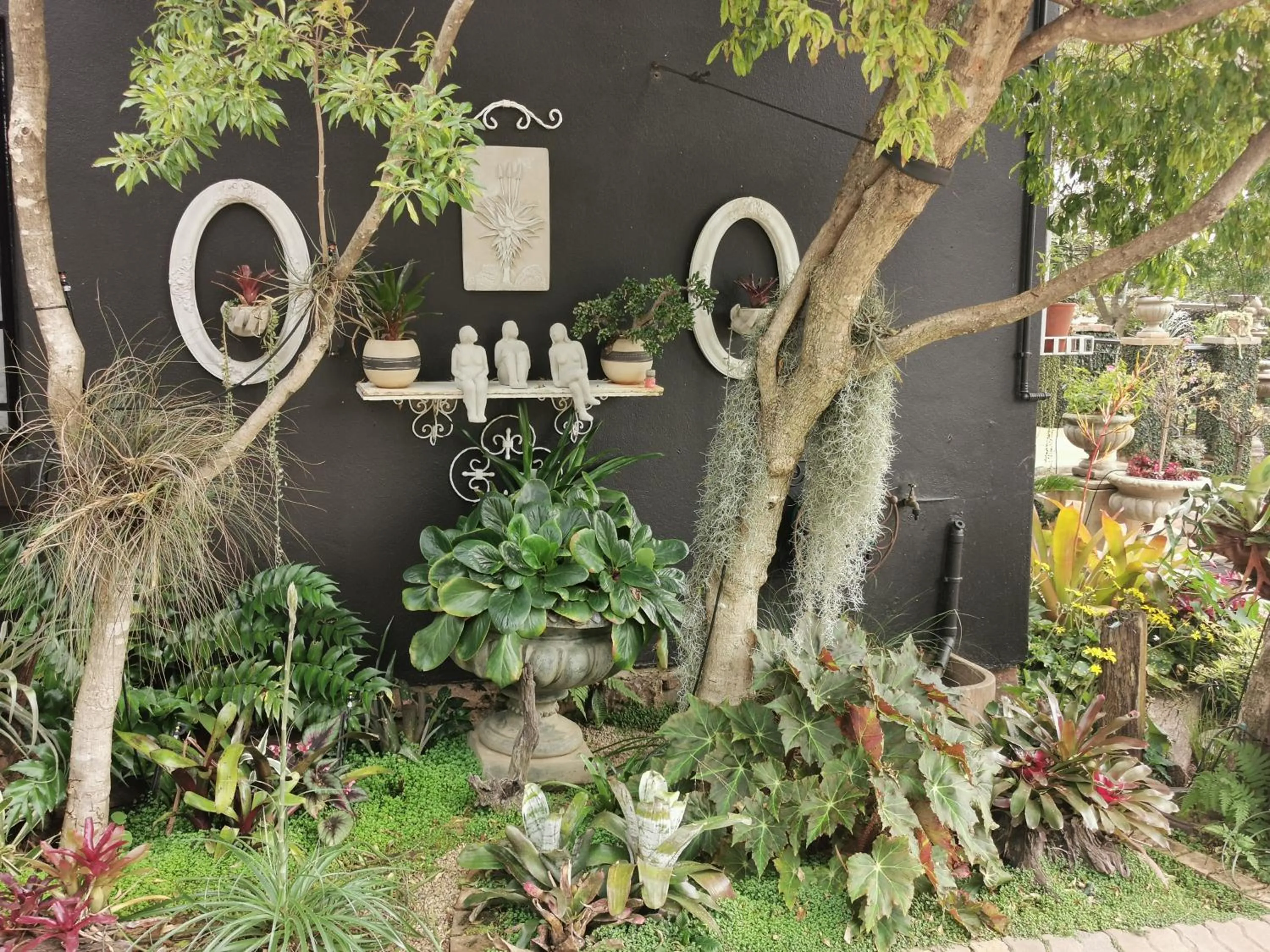 Garden in At 98 on Lynburn Guest House