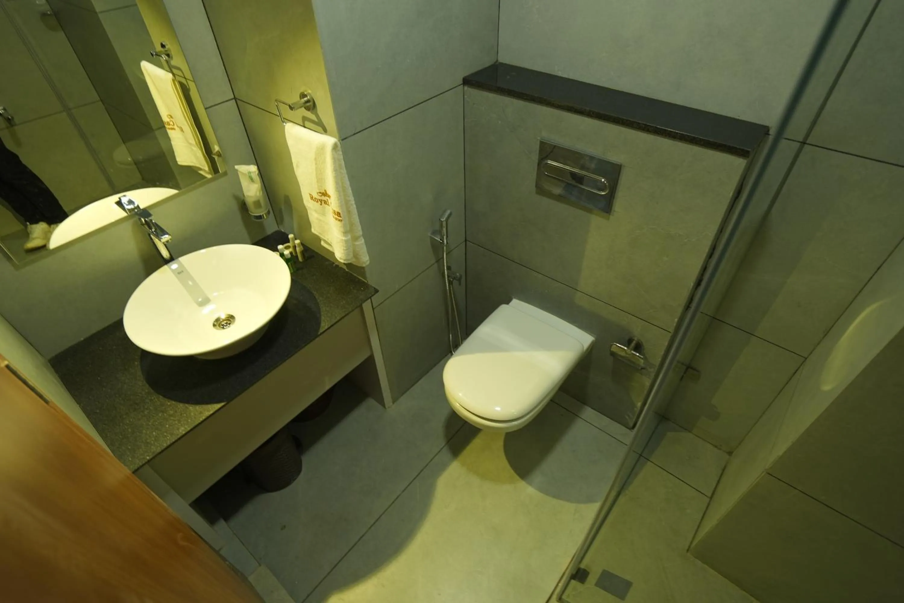 Toilet in Royal Casa Cochin