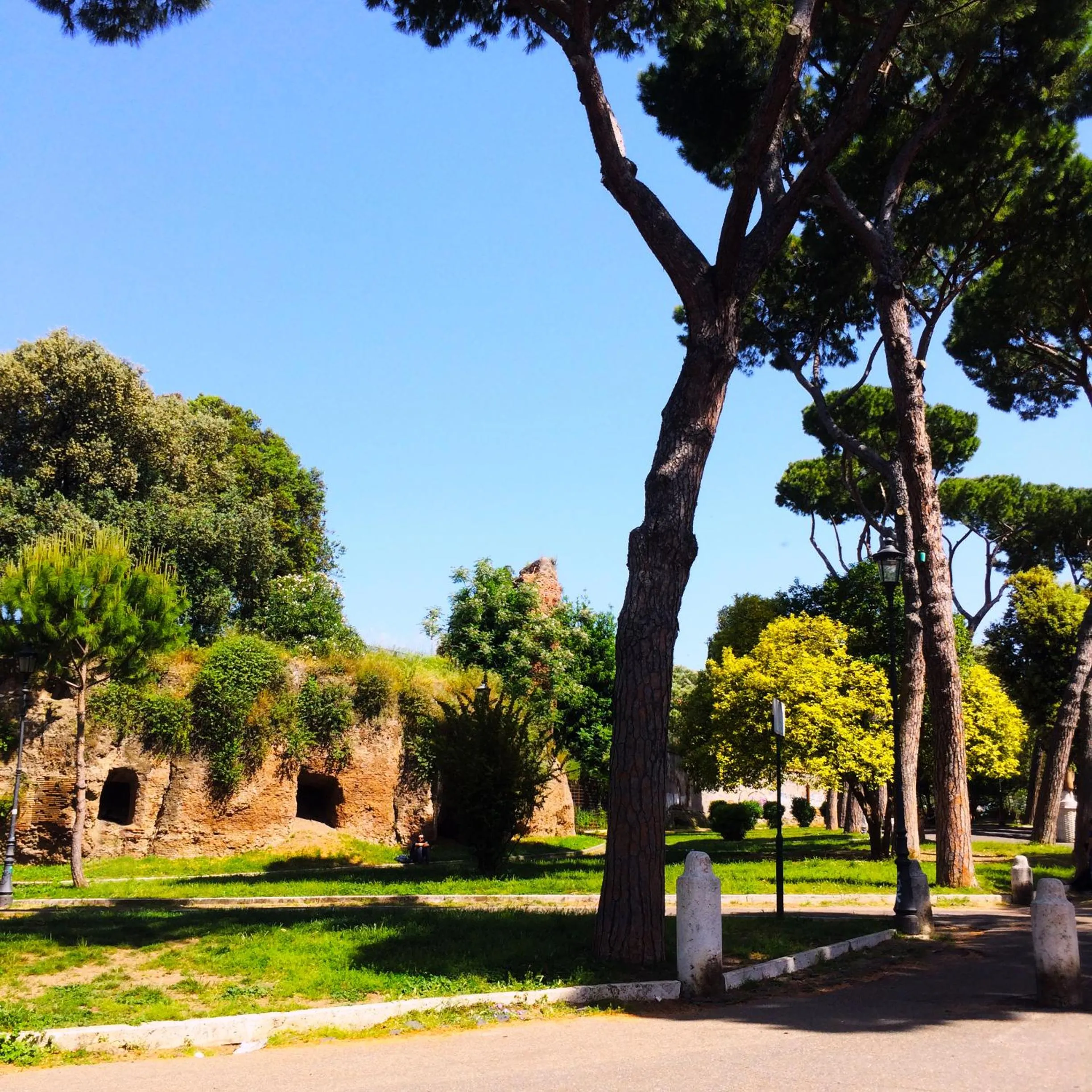 Nearby landmark in MICLAD Colosseum Guest House