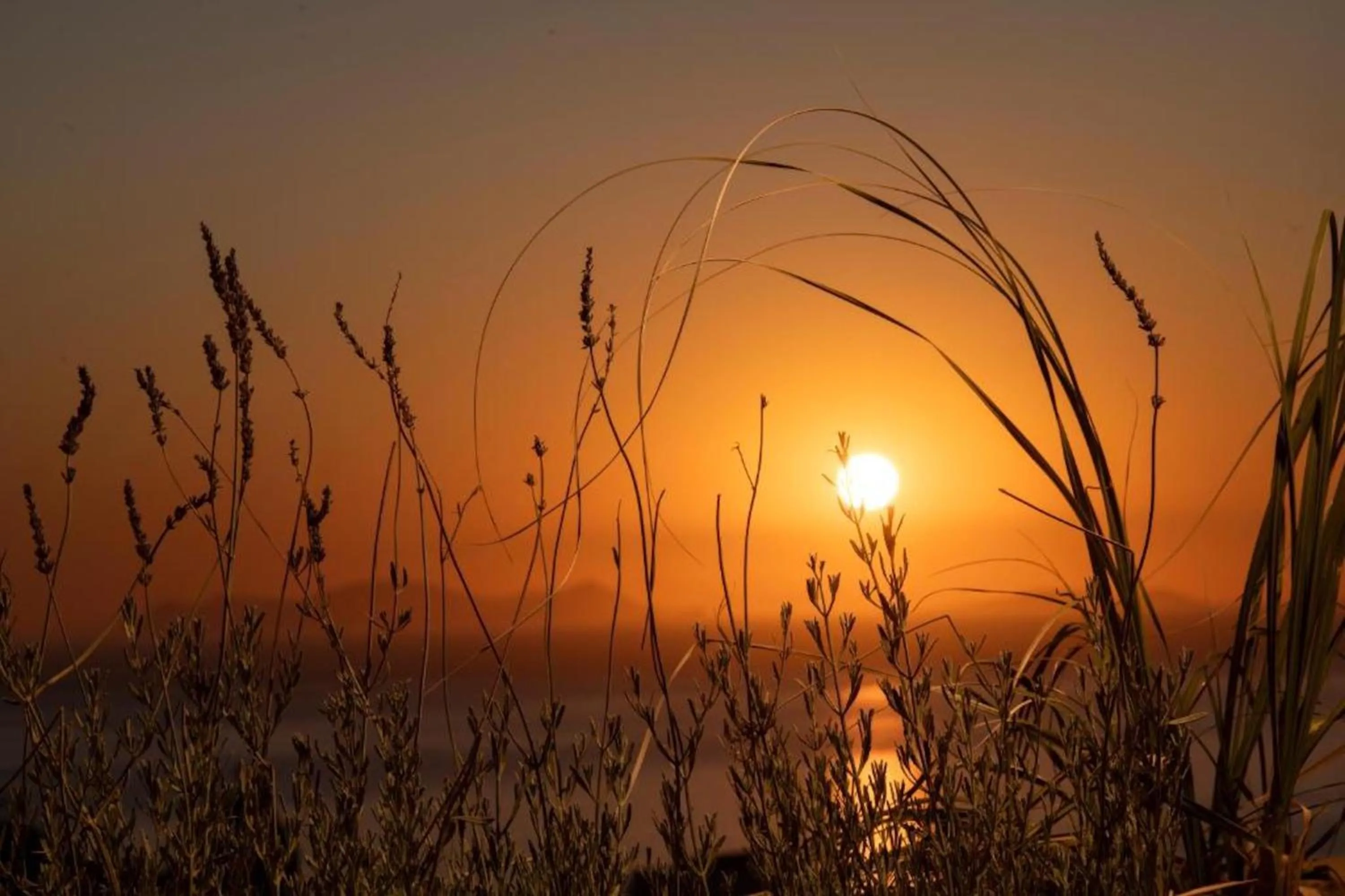 View (from property/room) in Terra Verde Oia by K&K