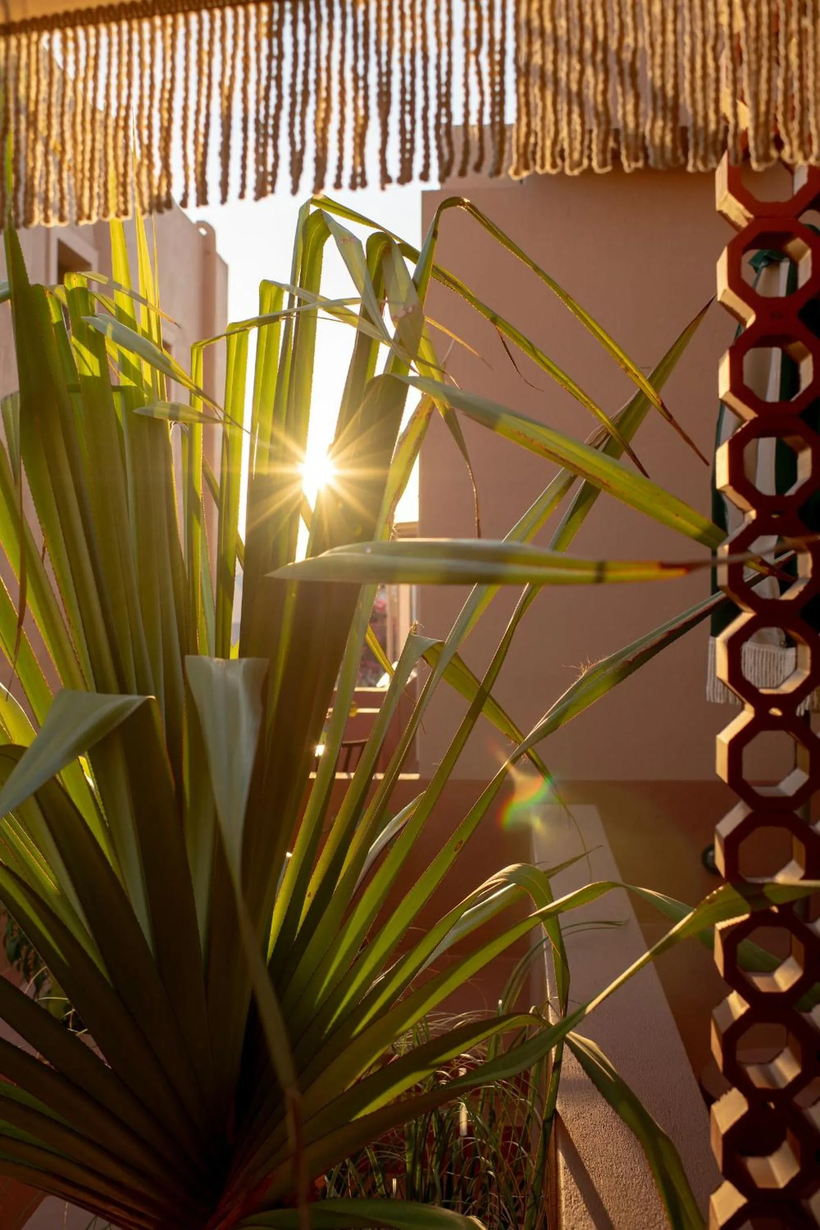 Decorative detail in Terra Verde Oia by K&K