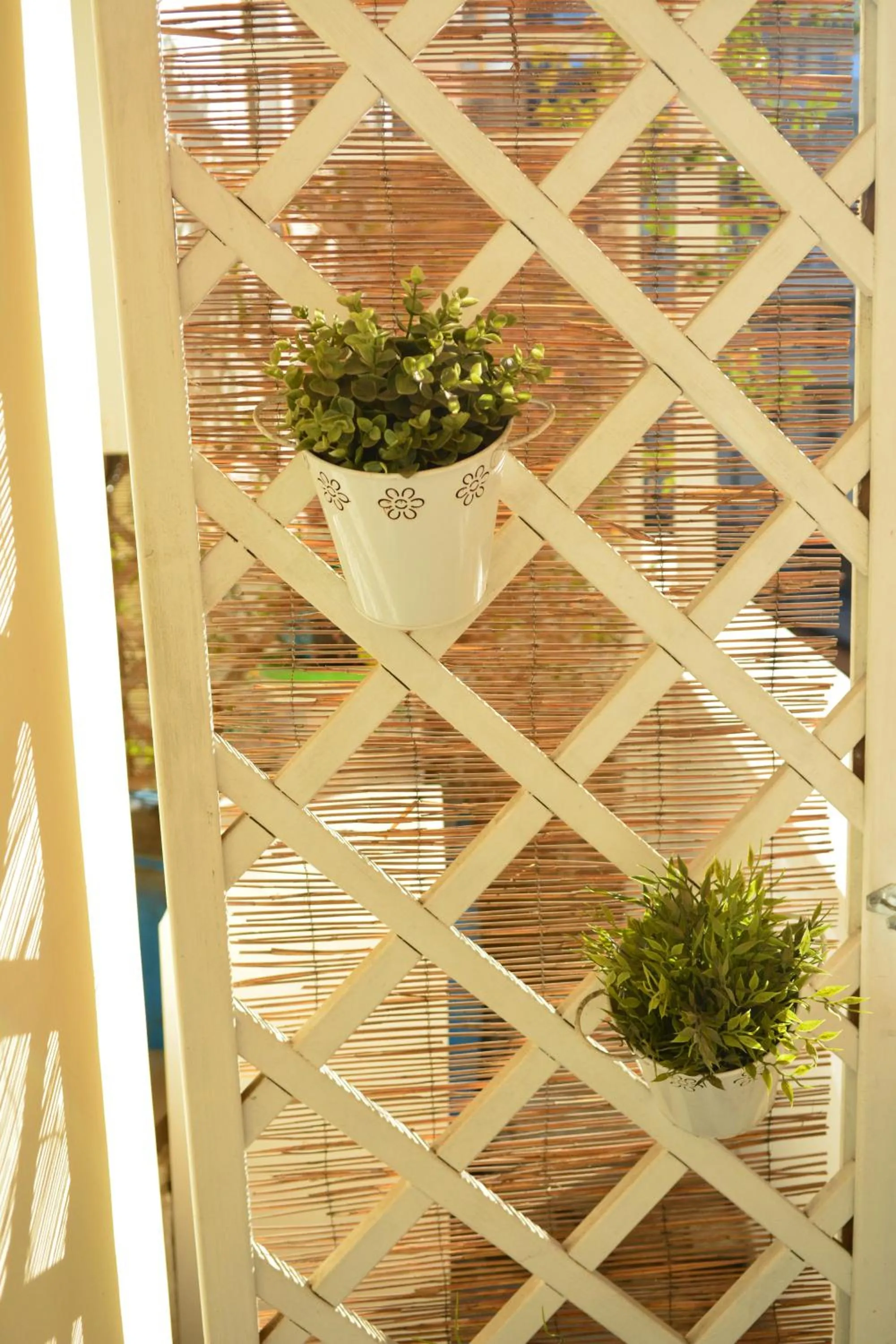 Balcony/Terrace in RomAntic Dreams Guest House