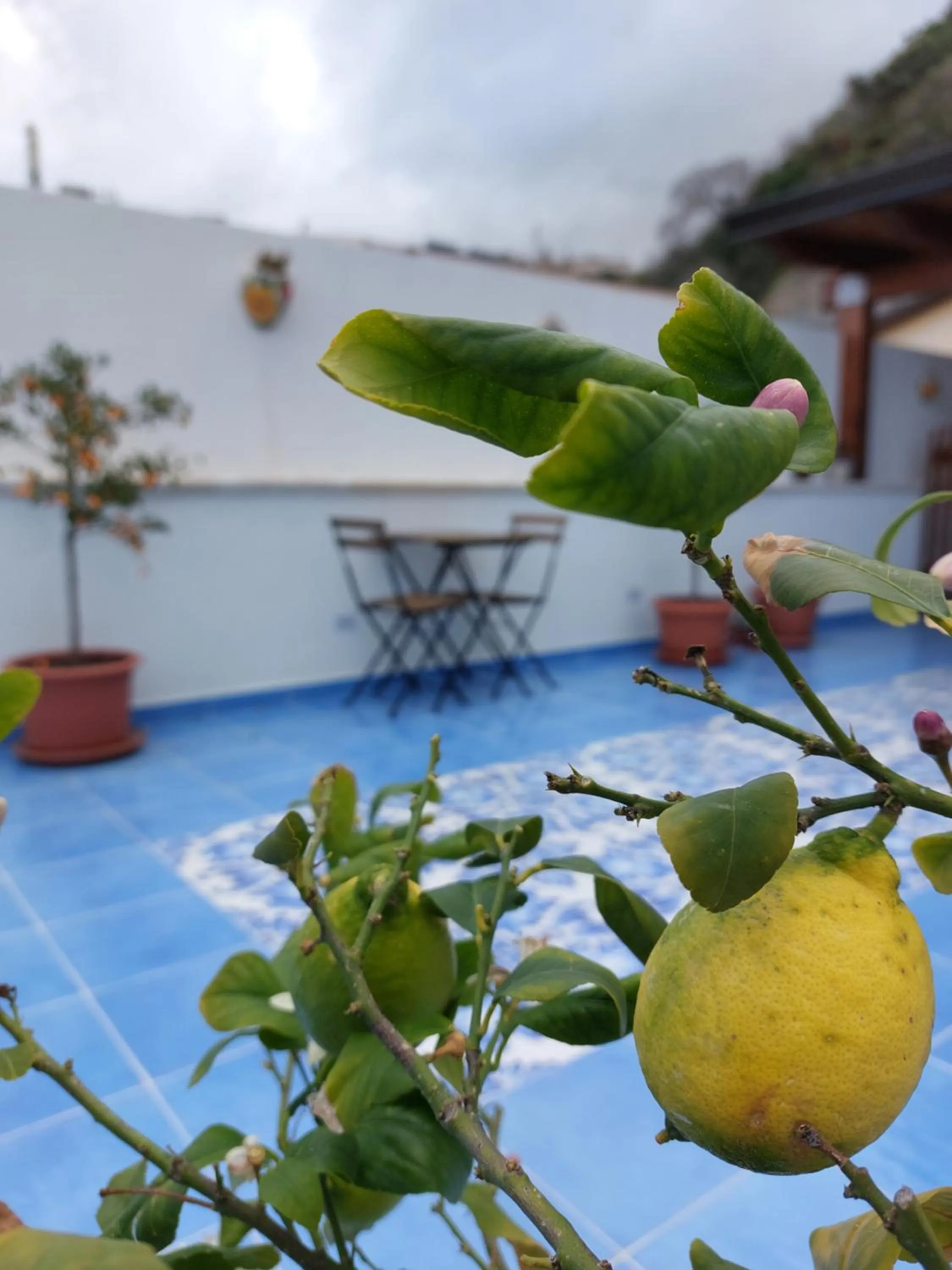 Balcony/Terrace in B&B La Filanda