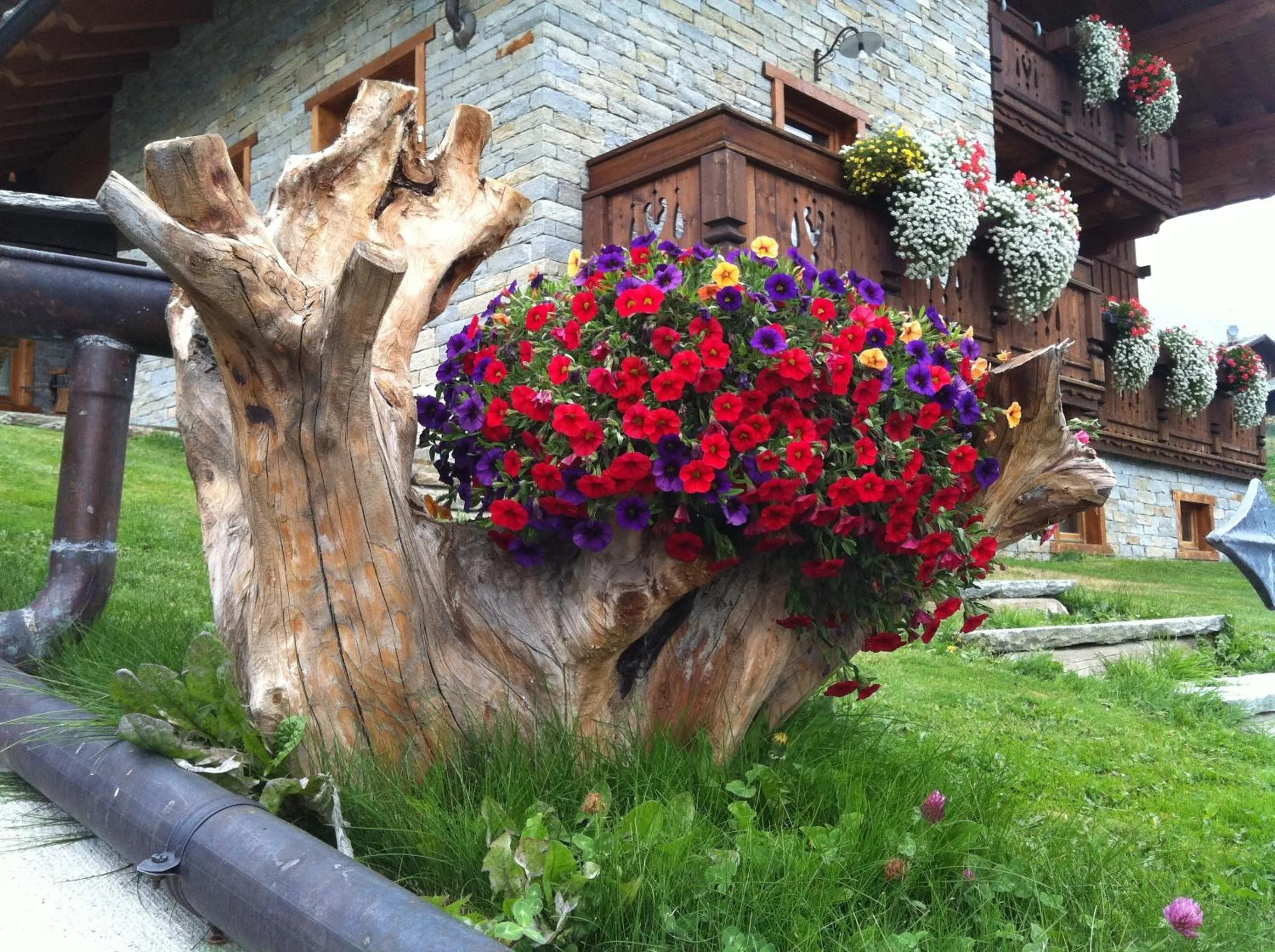 Balcony/Terrace in Residence Lo Peyo