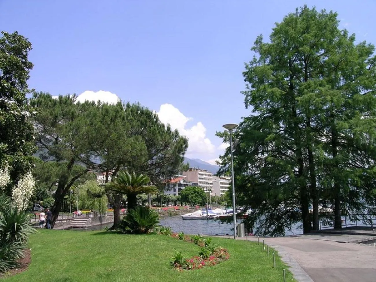 Bellavista by Fewotessin