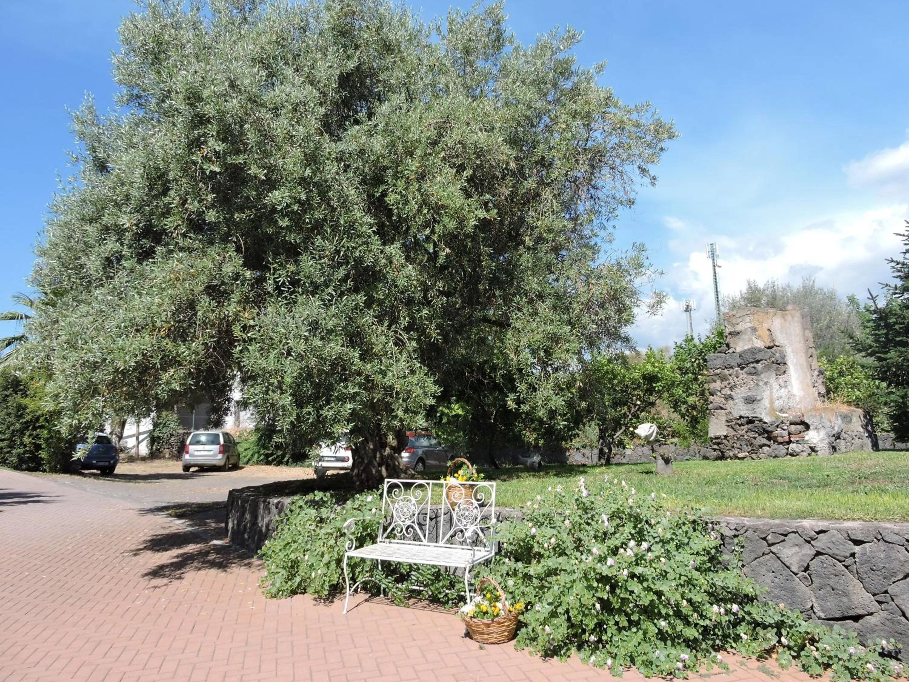 Garden in Villa Sciare Modò