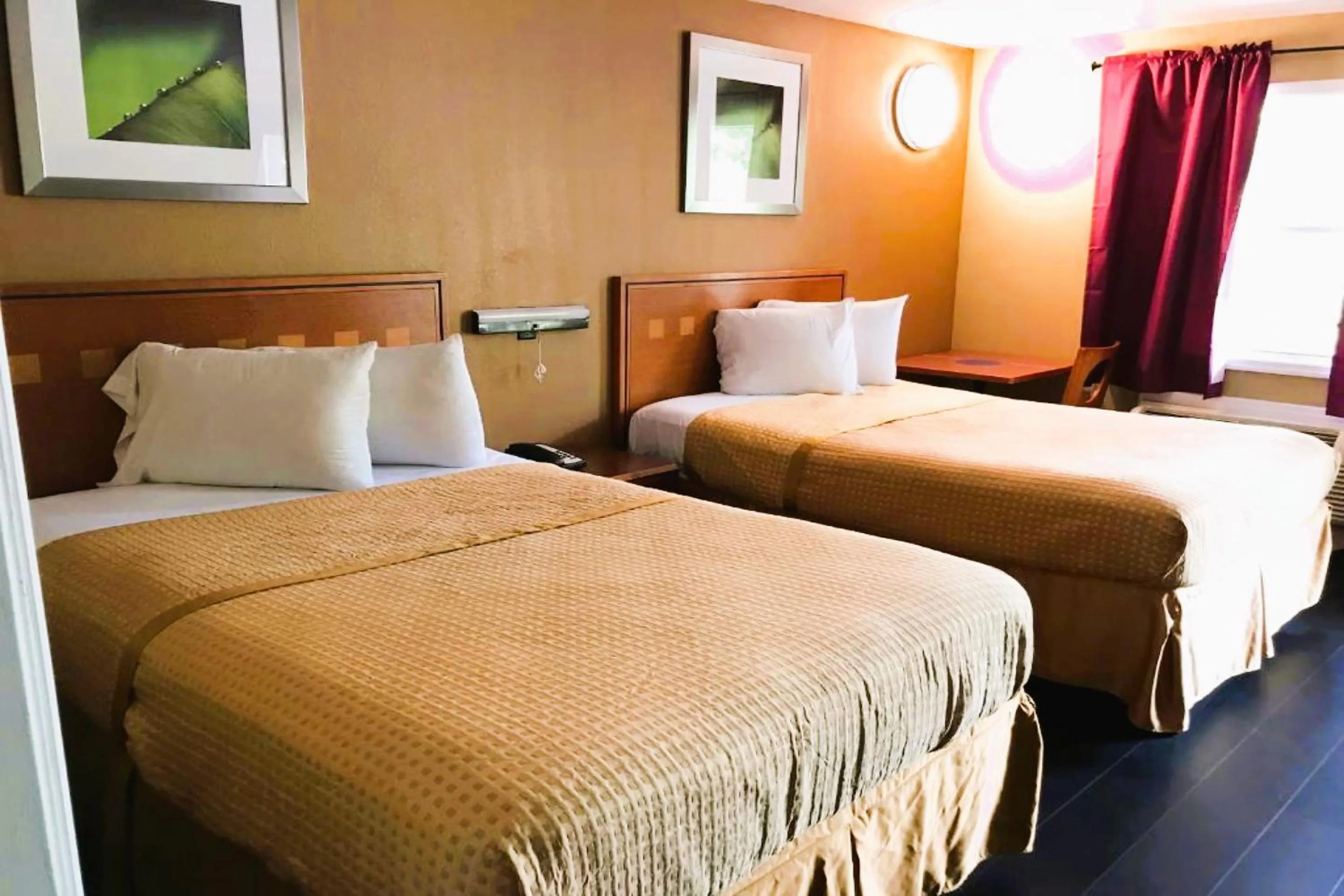 Bedroom, Bed in OYO Hotel Tallahassee Downtown