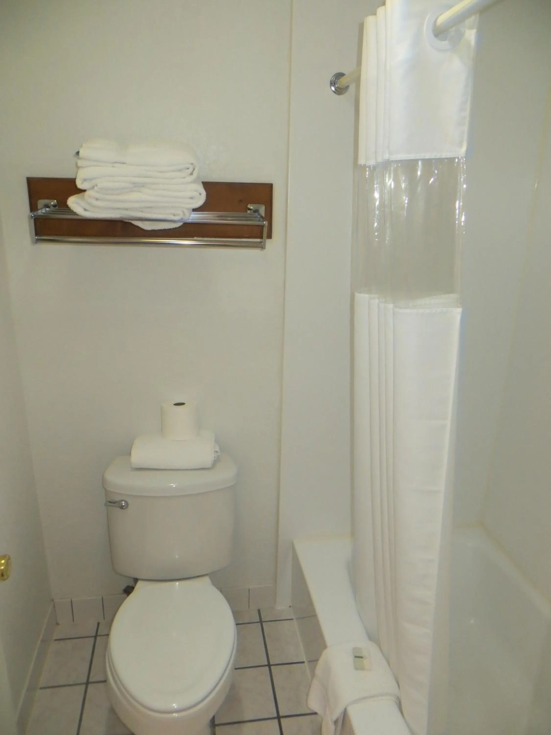 Toilet in Silver Saddle Motel
