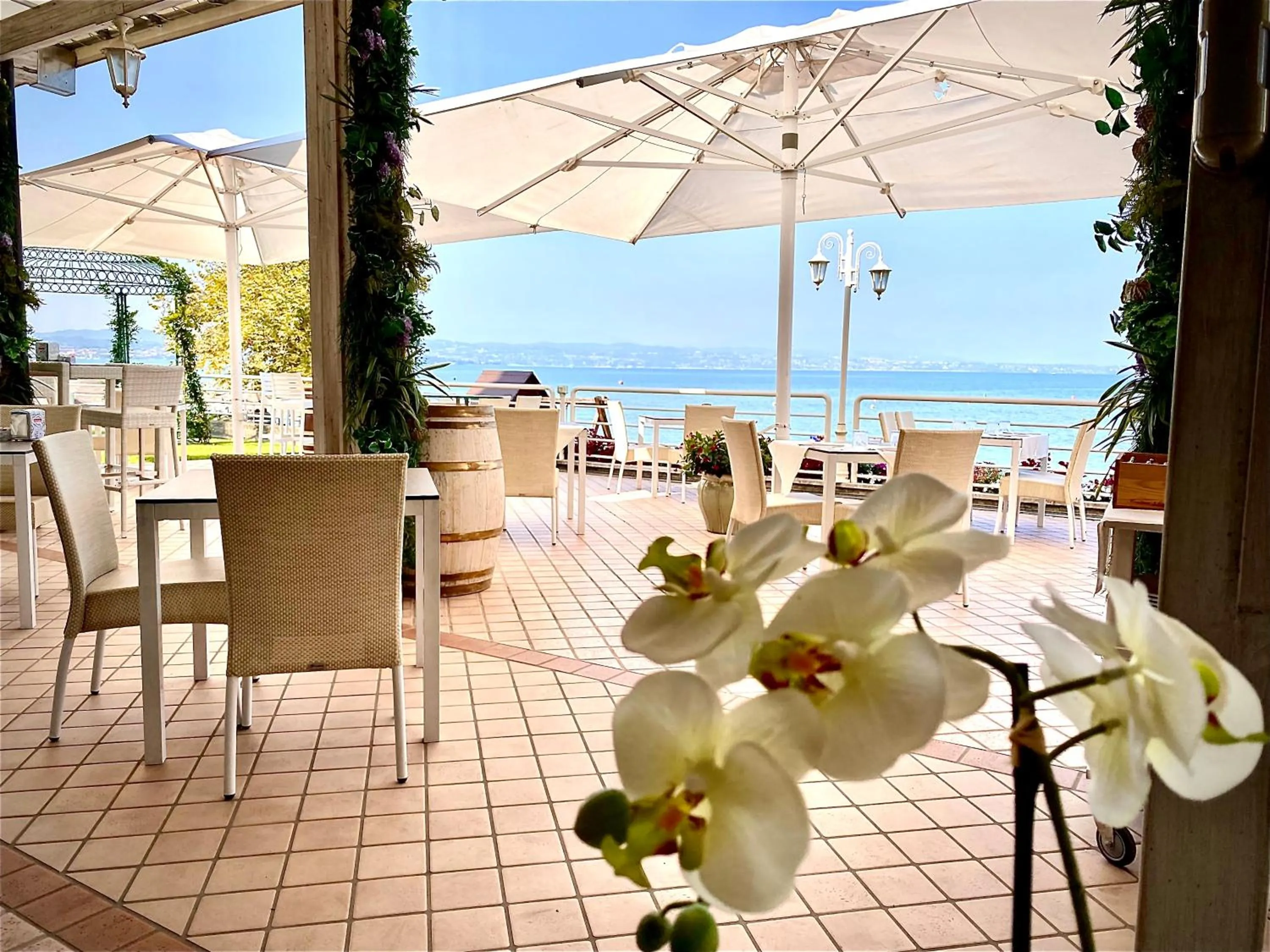 Restaurant/places to eat in Hotel Aquila D'Oro Desenzano