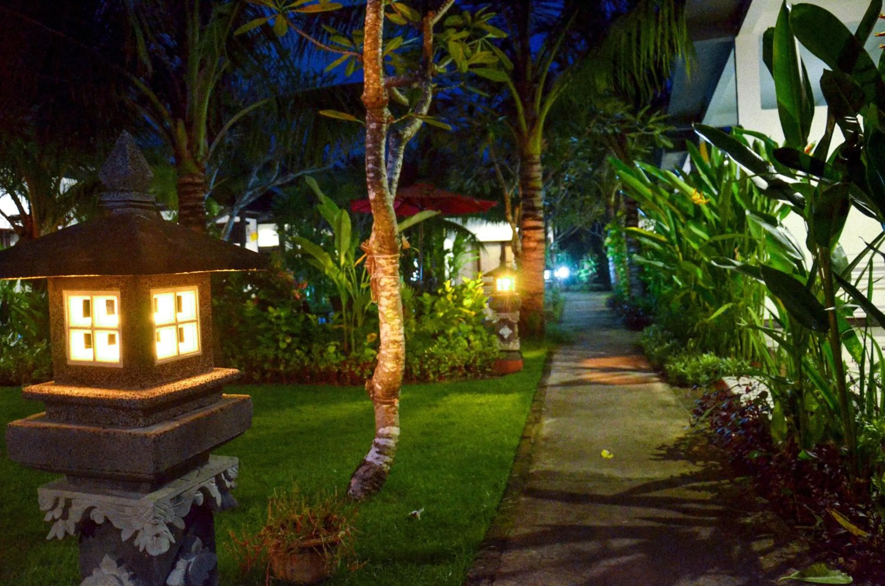 Garden in Palm Garden Bali