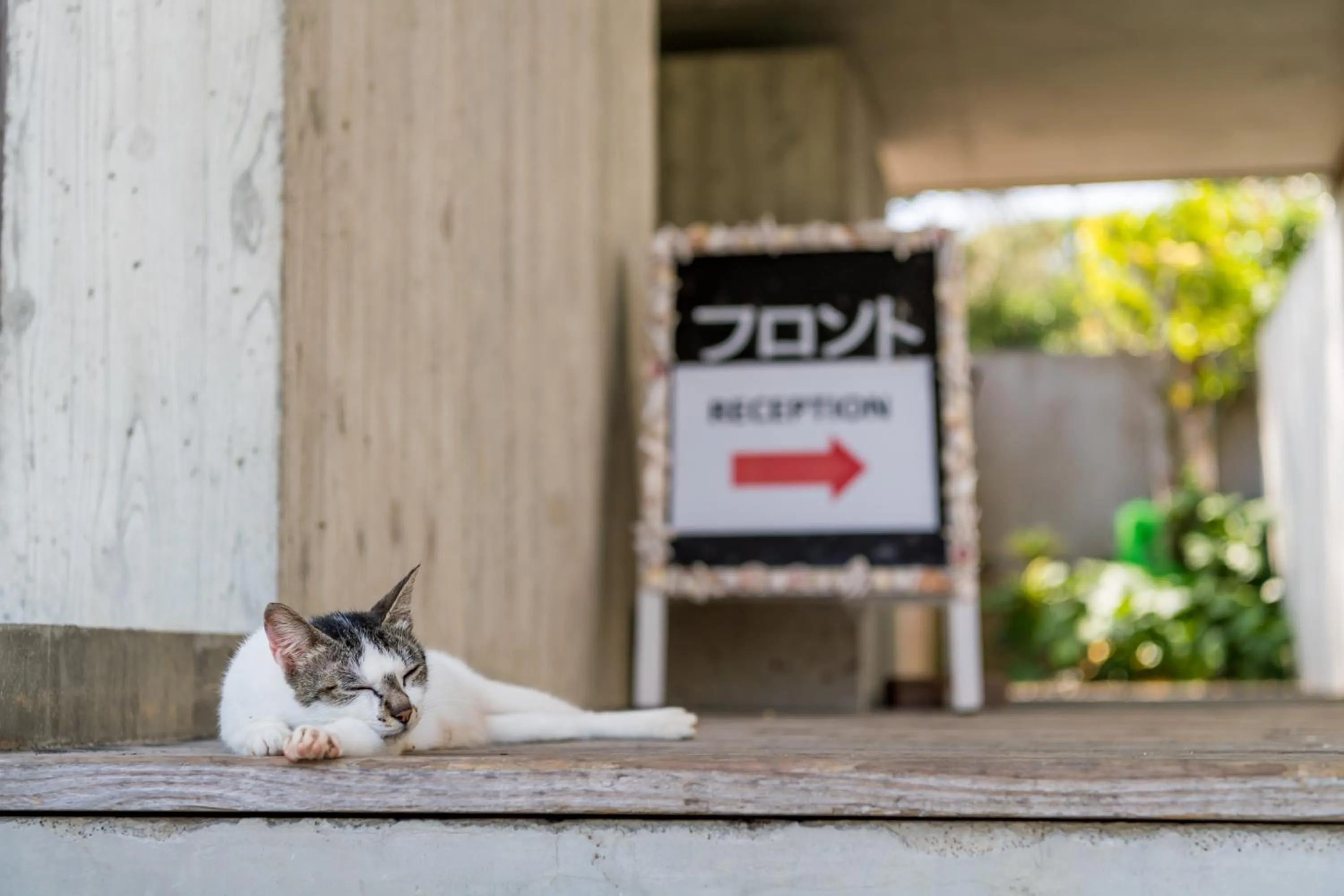 Property logo or sign in E-horizon Resort Condominium Sesoko