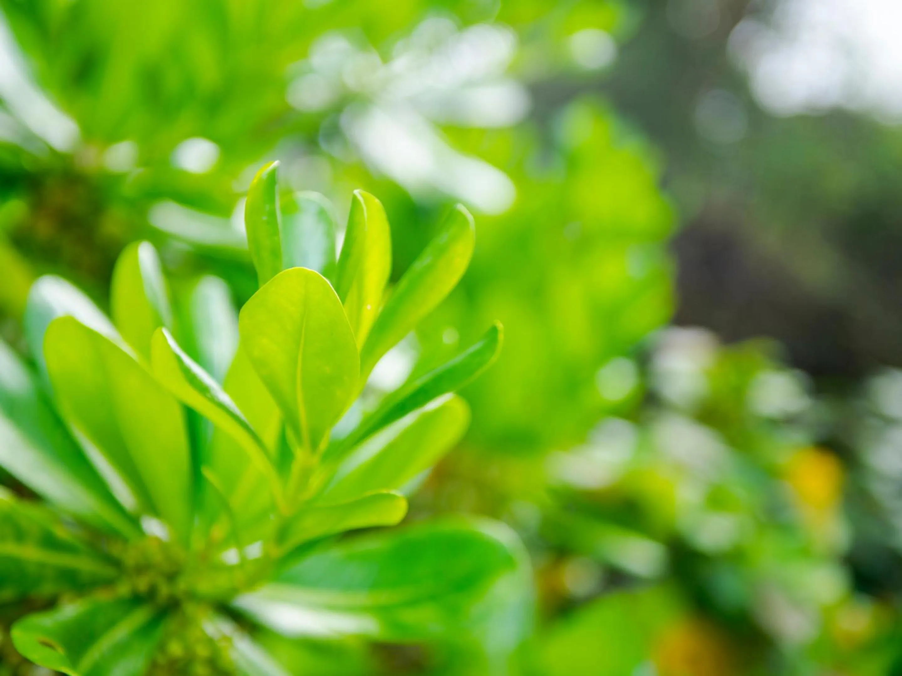 Nearby landmark in Umi No Terrace Yomitan Toya