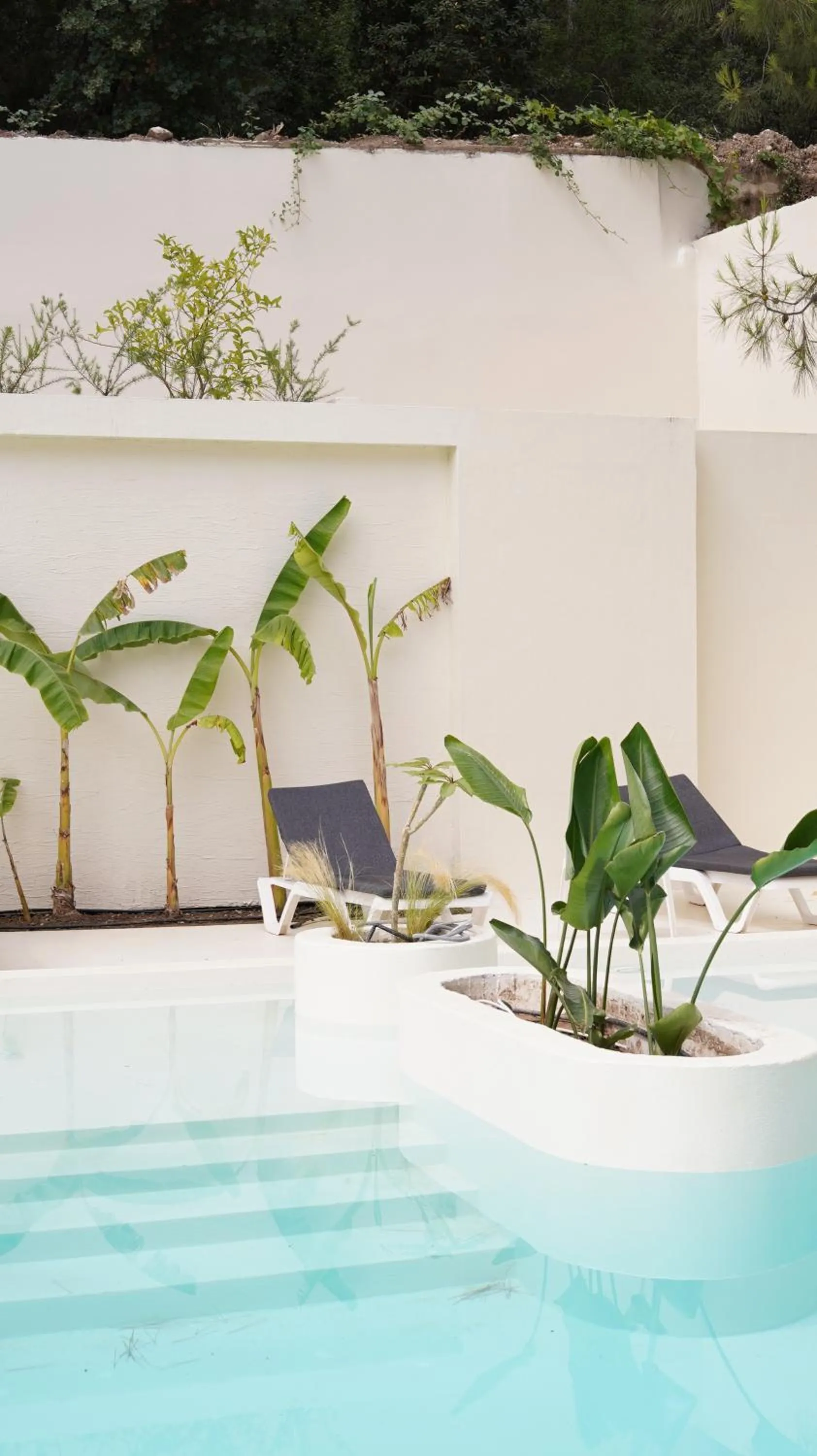 Day in Doc's Hotel Kemer