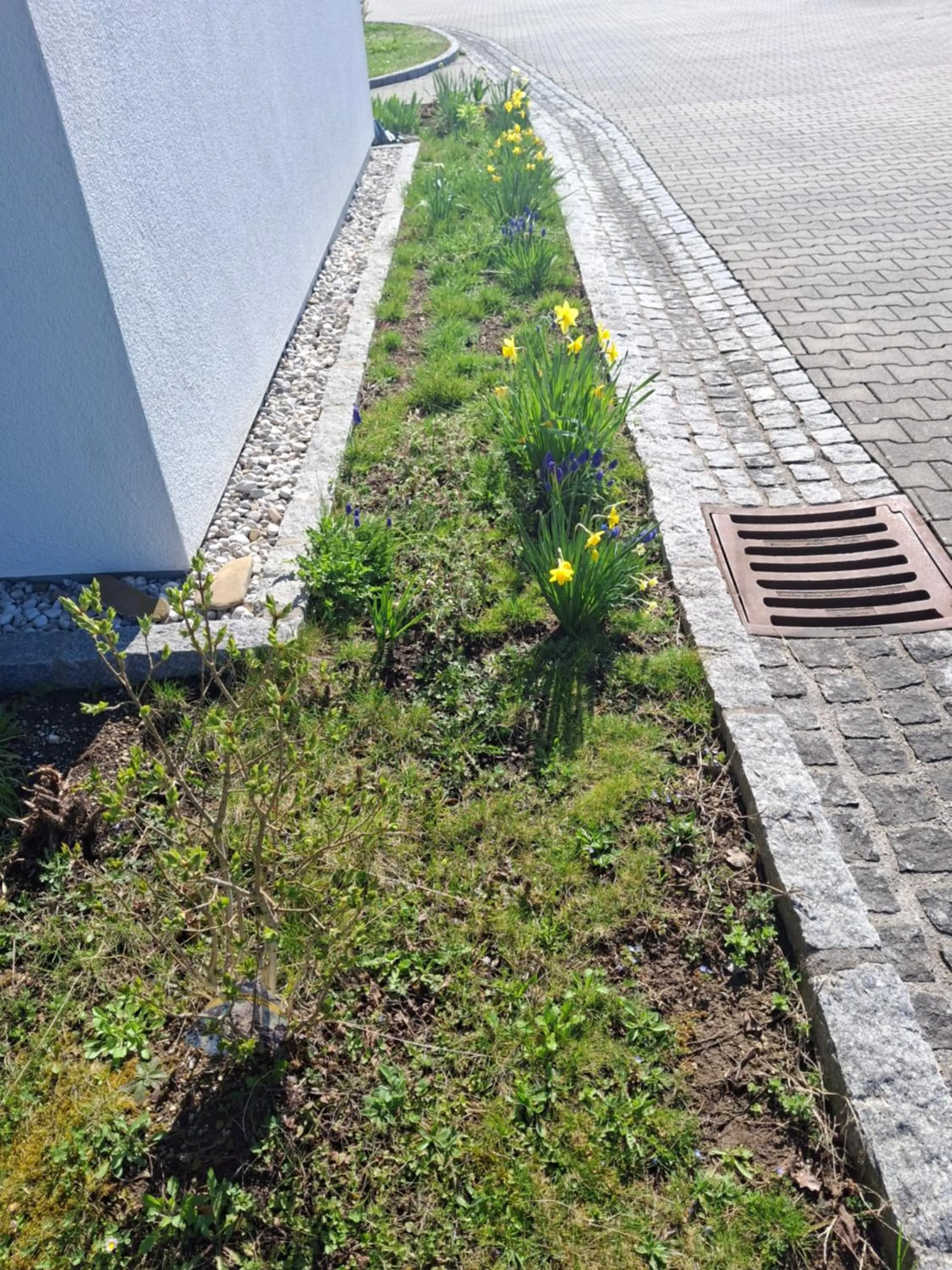 Property building in Gästehaus Watschinger