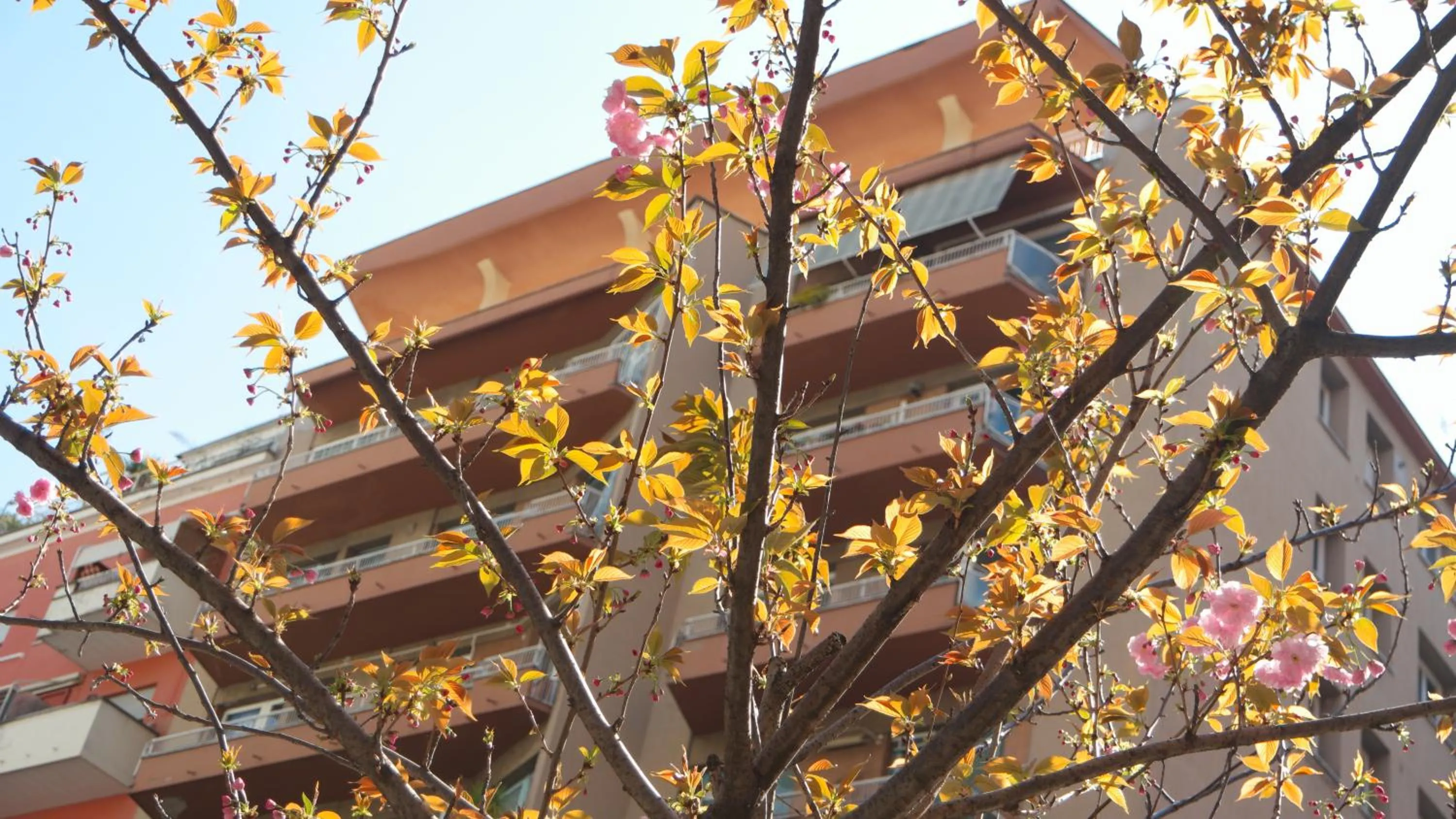 Property building in B&B La Perla di Roma