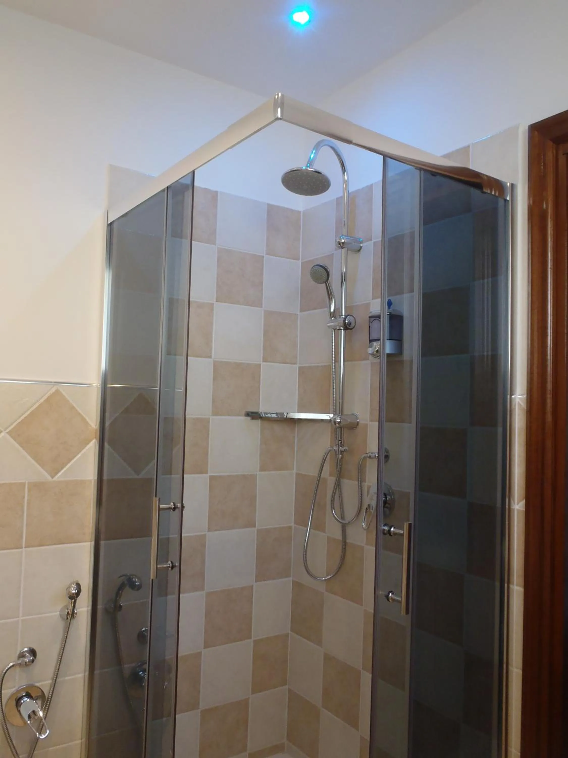 Shower in B&B La Perla di Roma