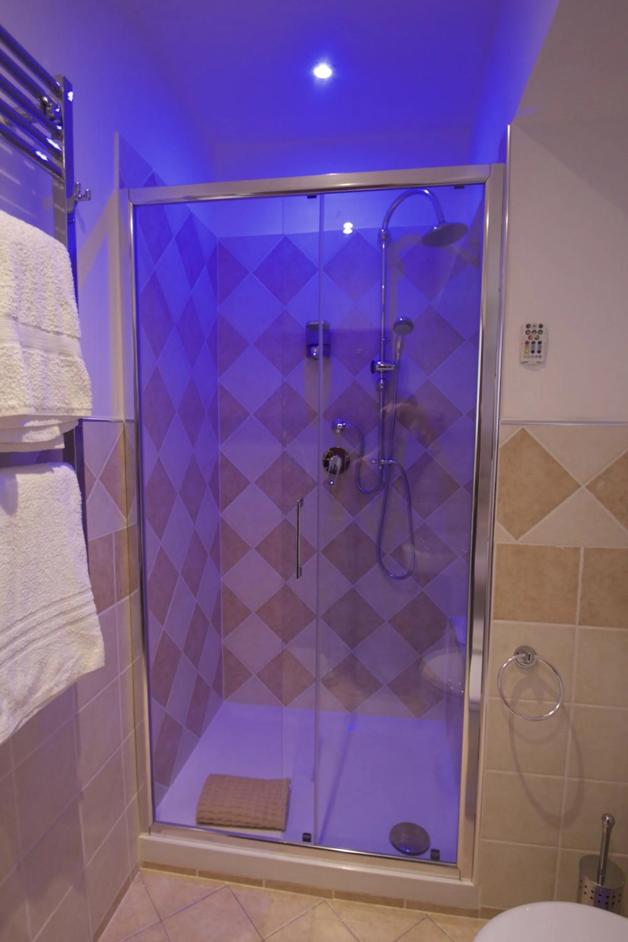 Shower in B&B La Perla di Roma