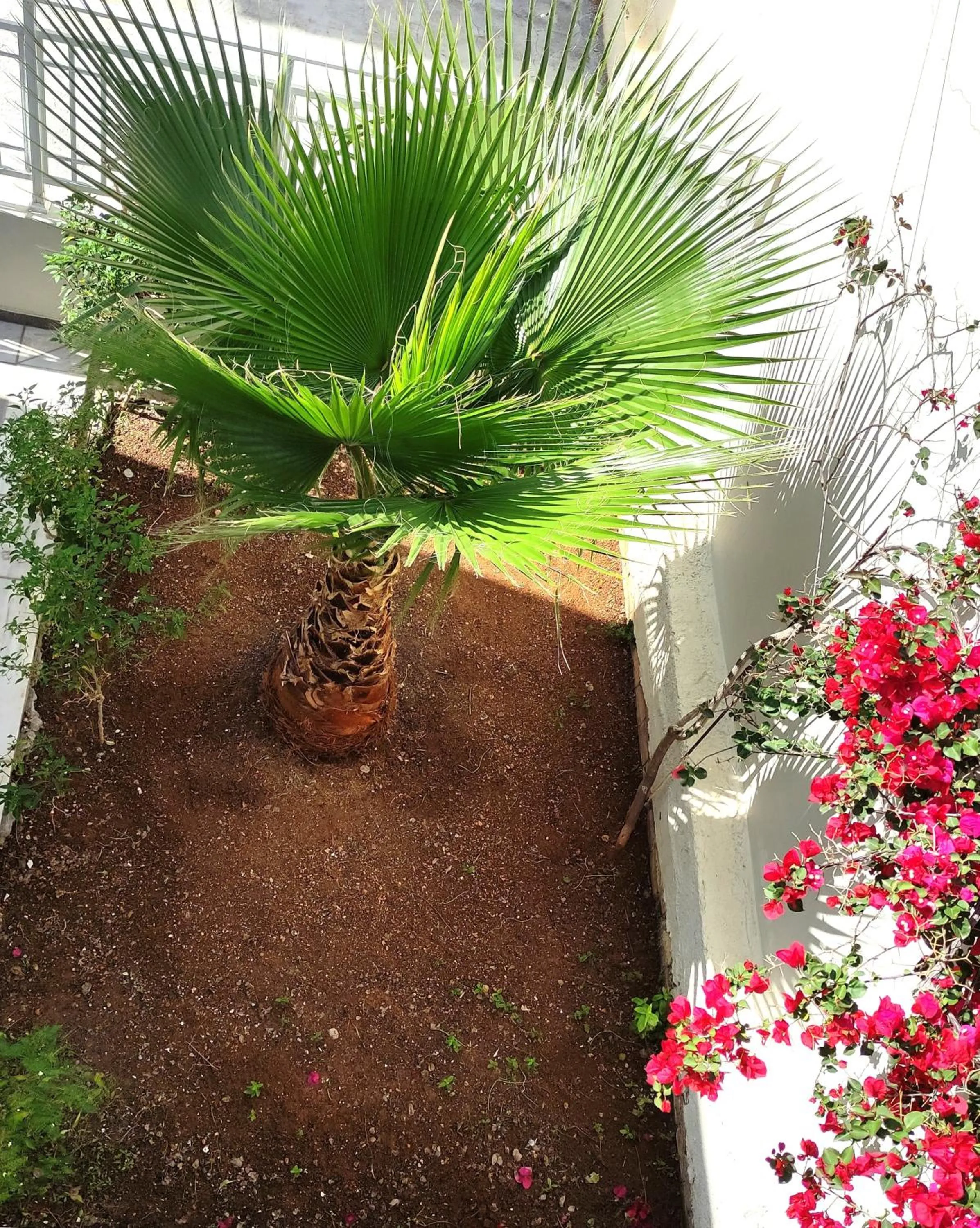 Elina Apartments Gouves