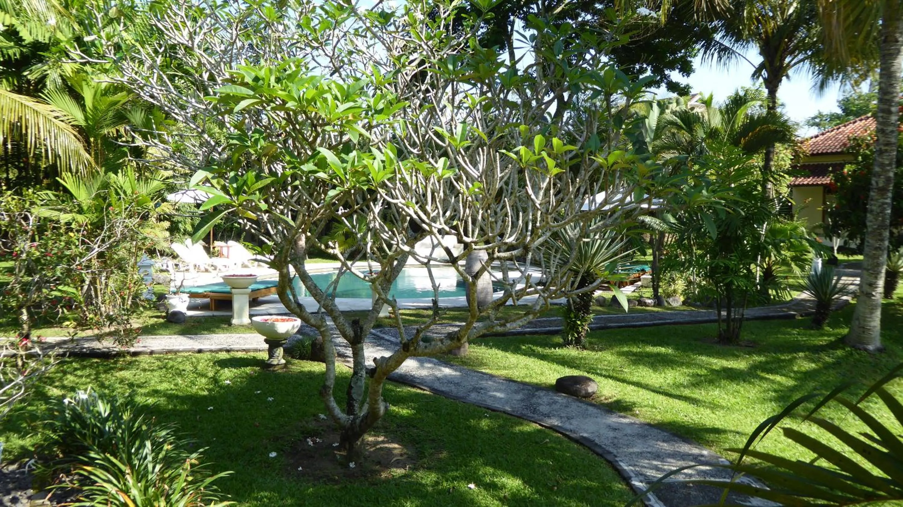Garden in Rumah Kita Villa/hotel