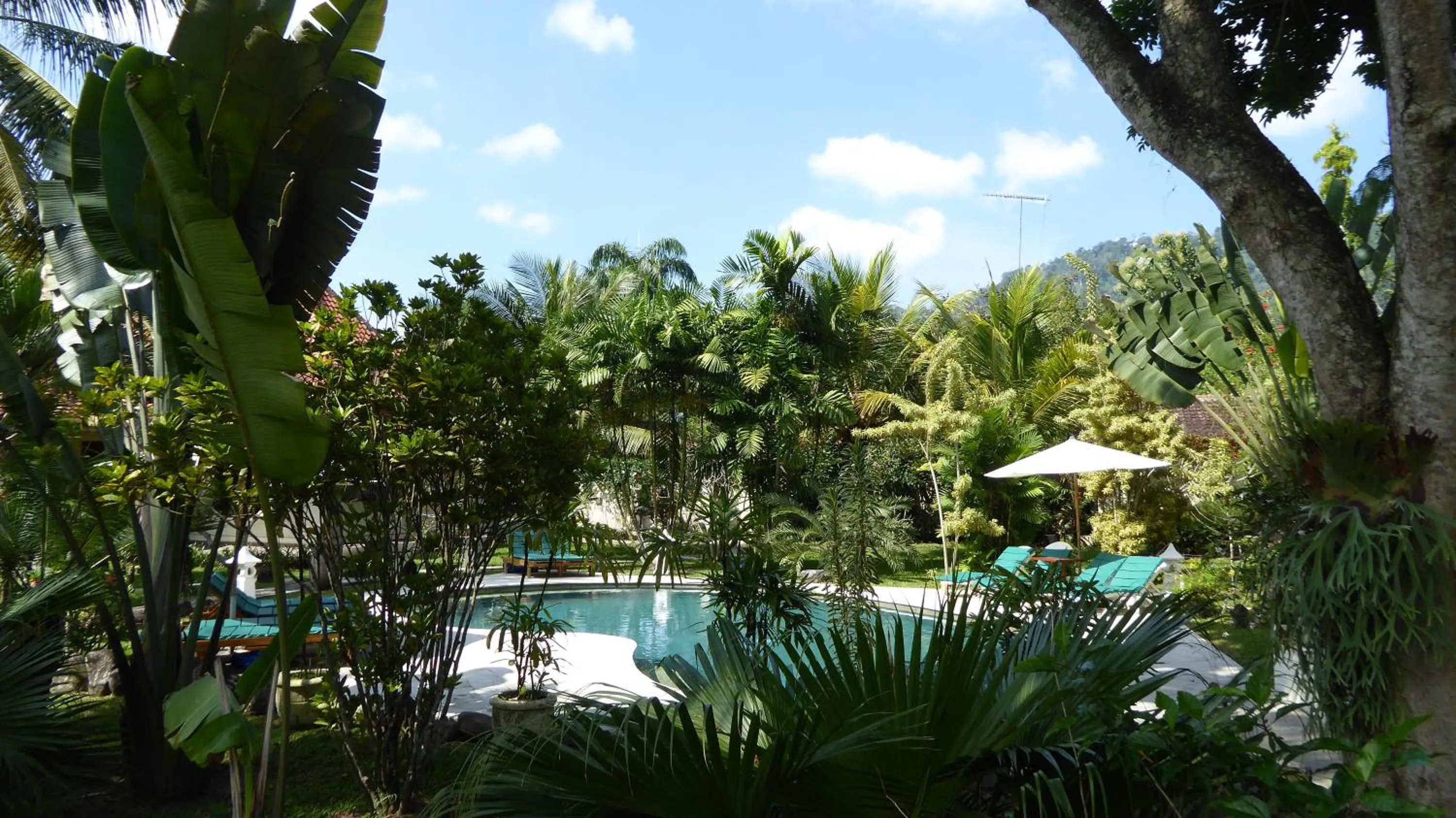 Swimming pool in Rumah Kita Villa/hotel