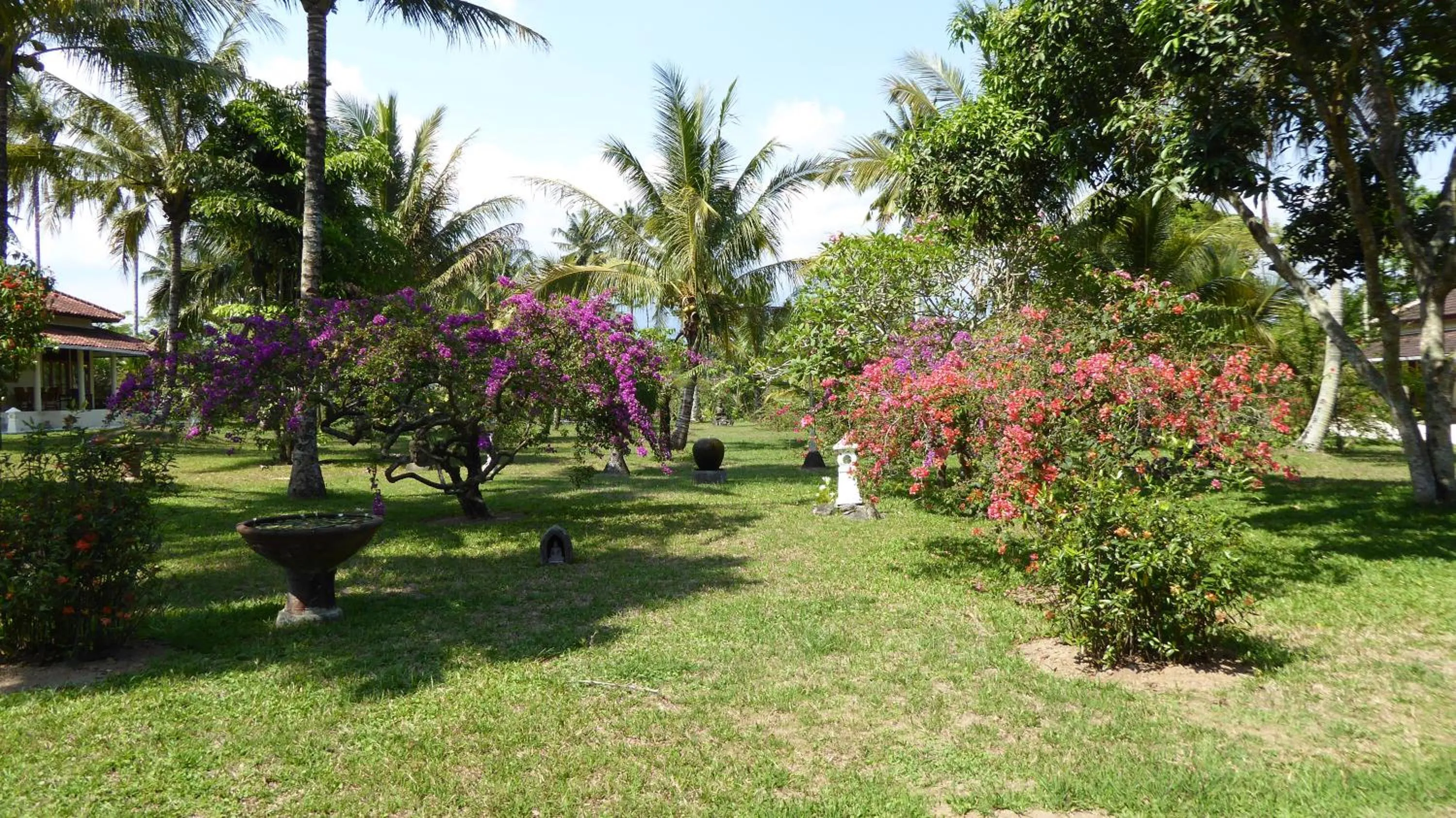 Garden in Rumah Kita Villa/hotel