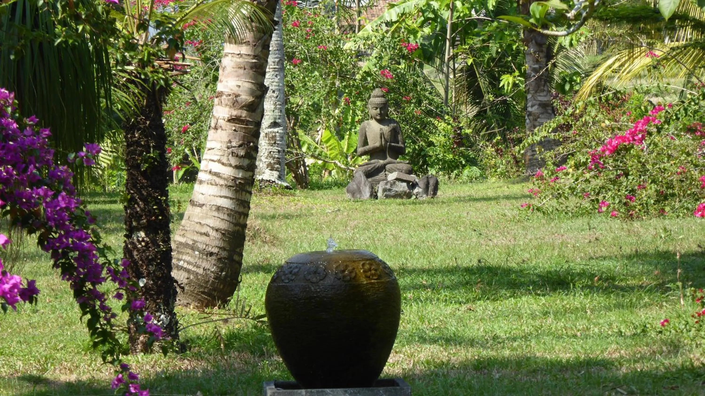 Garden in Rumah Kita Villa/hotel