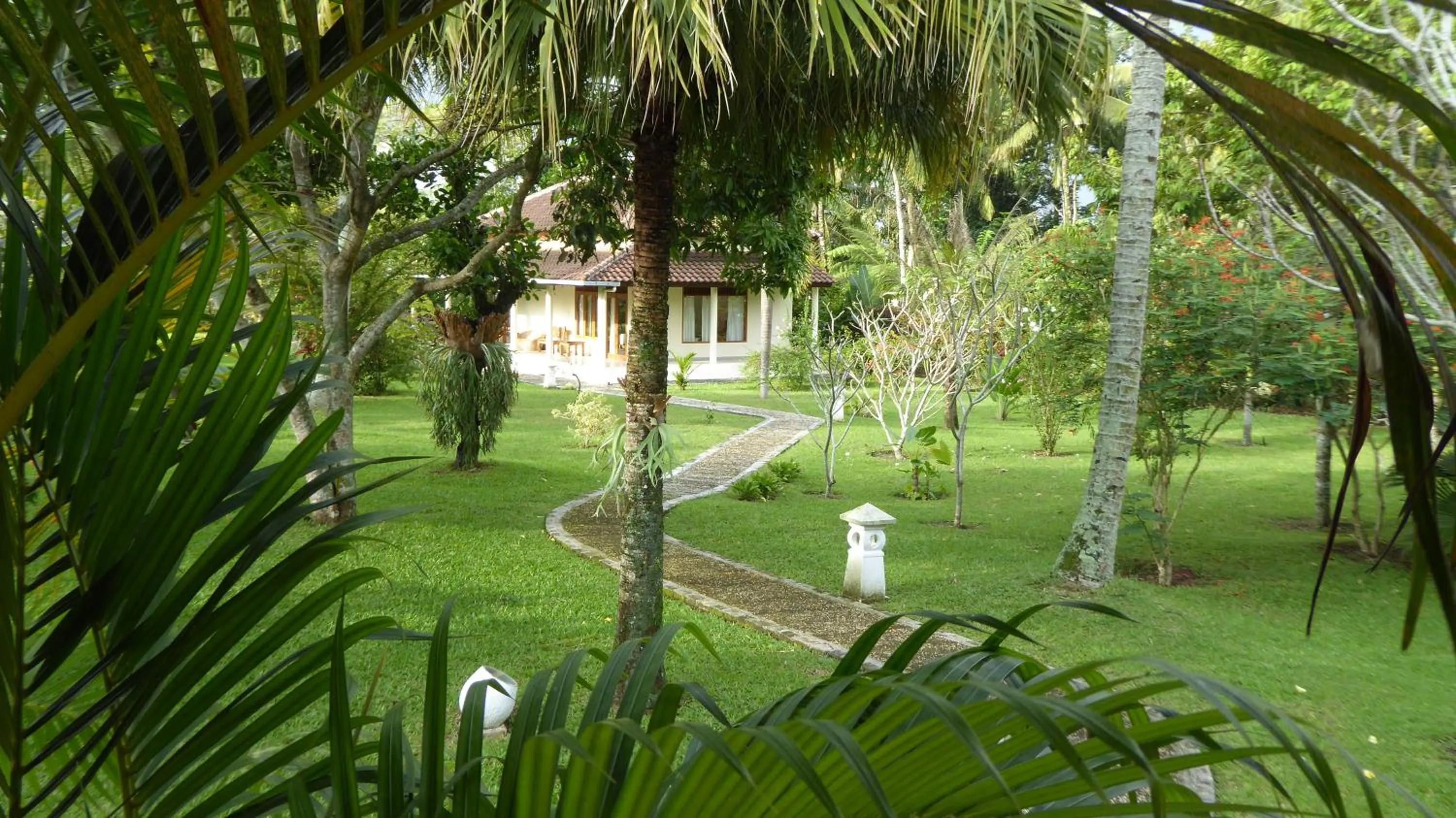 Garden in Rumah Kita Villa/hotel