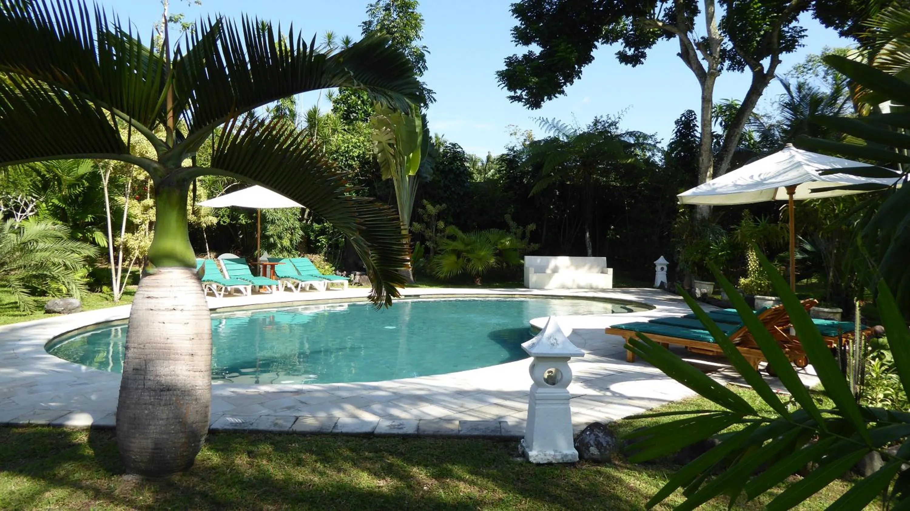 Swimming pool in Rumah Kita Villa/hotel