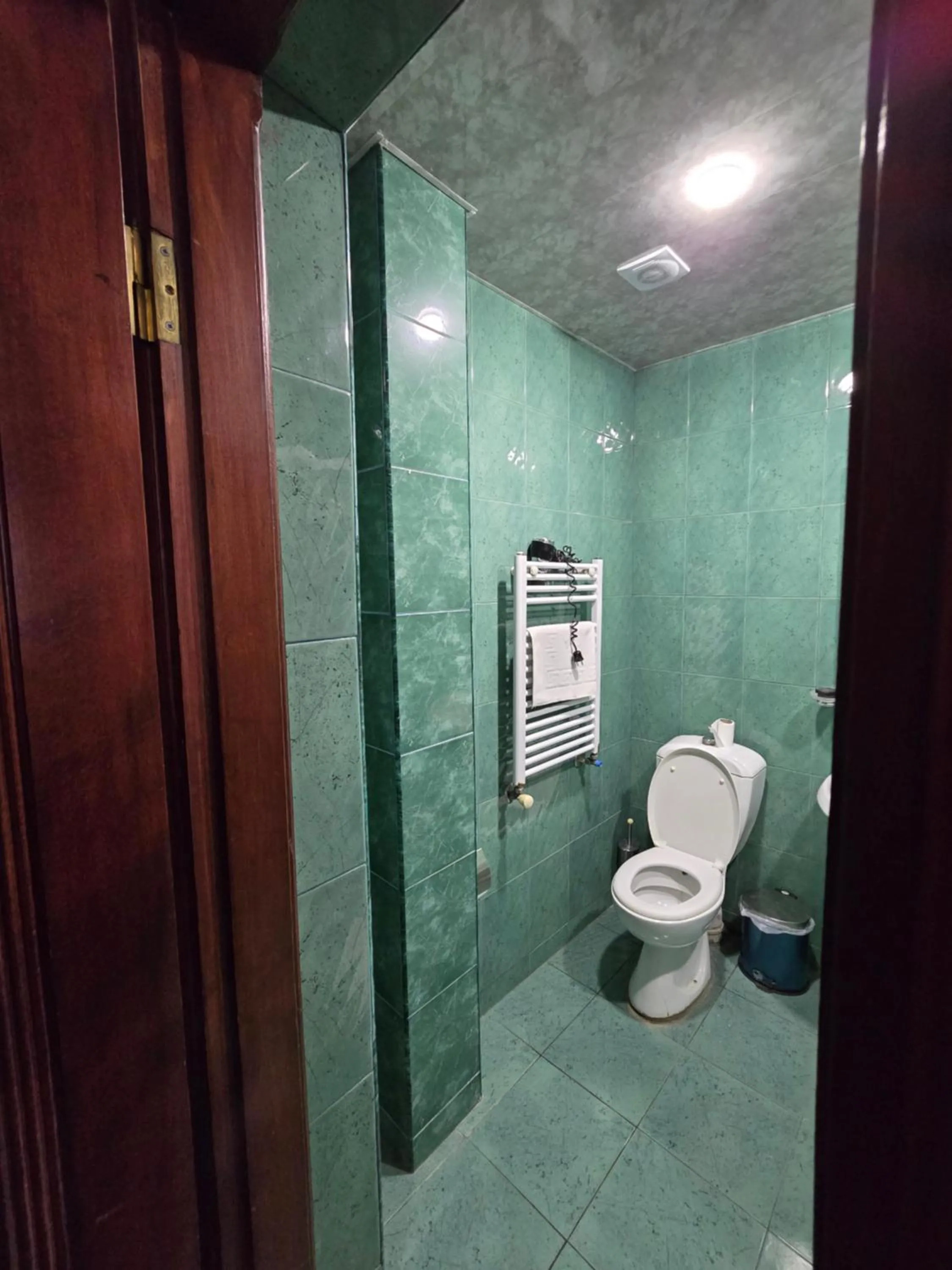 Toilet in Ritsa Boutique Hotel