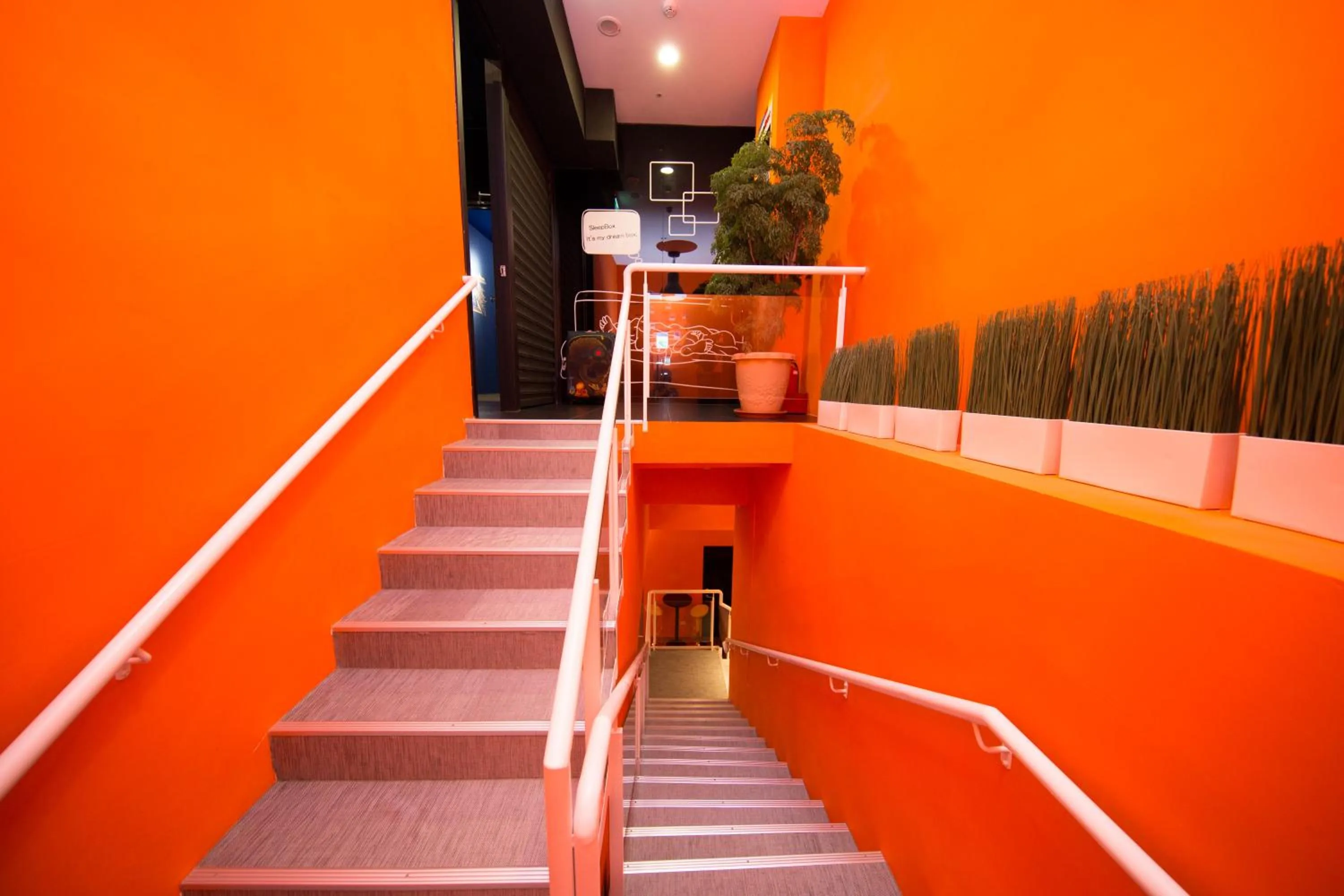 Decorative detail in SleepBox Hostel