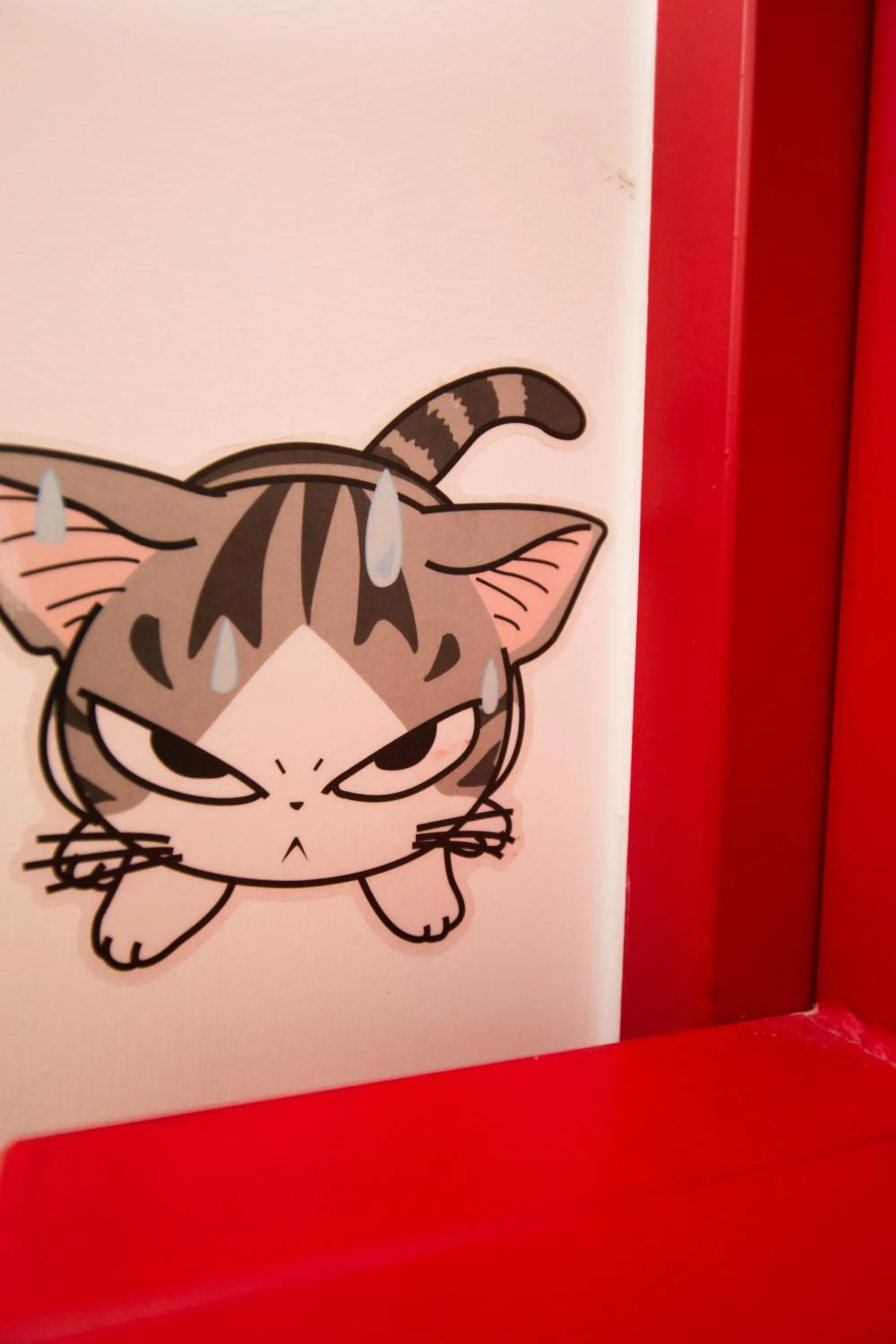 Area and facilities in SleepBox Hostel