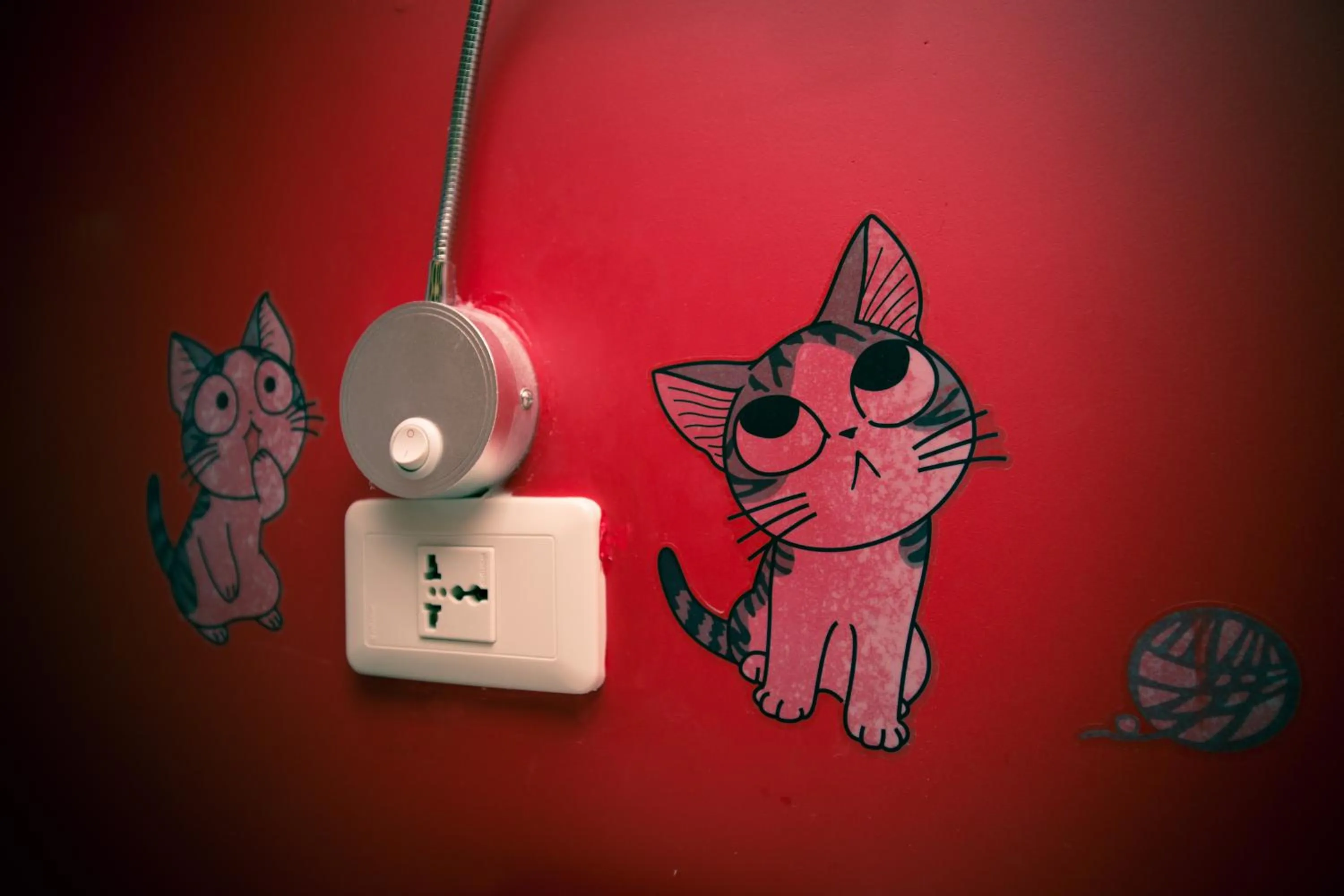 Area and facilities in SleepBox Hostel