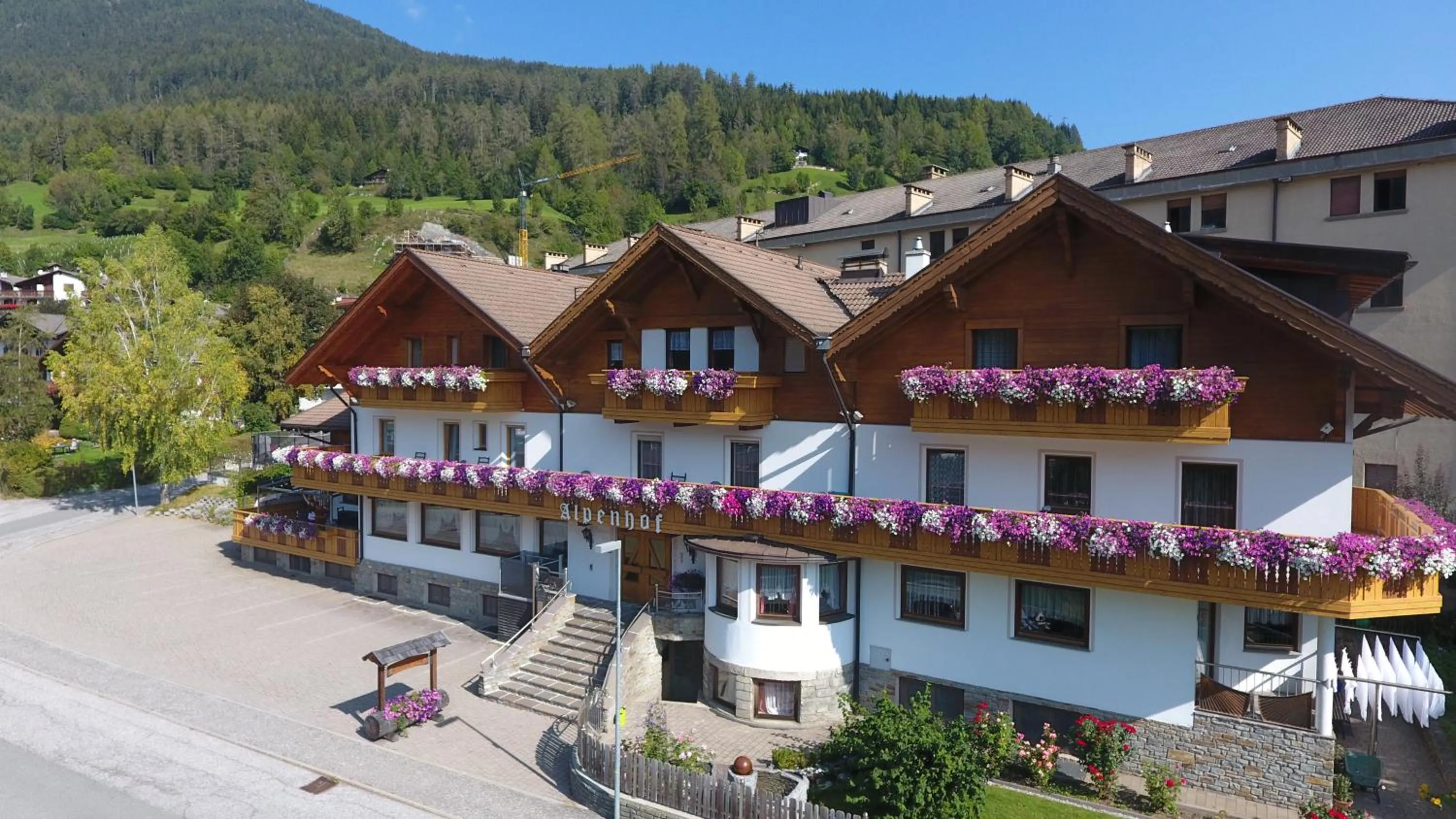 Property building in Pension Alpenhof B&B