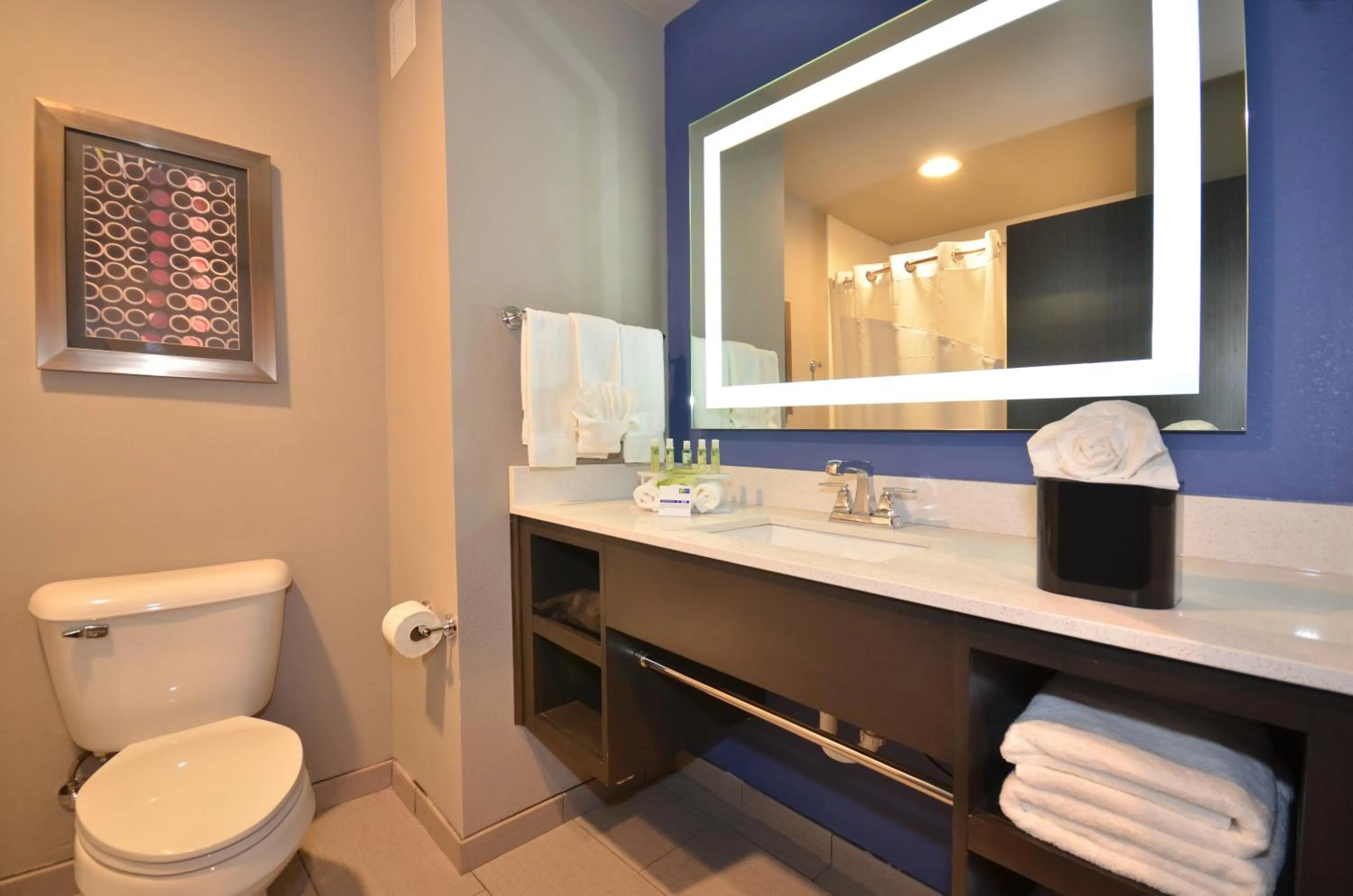 Bathroom in Holiday Inn Express & Suites Oklahoma City Mid - Arpt Area by IHG