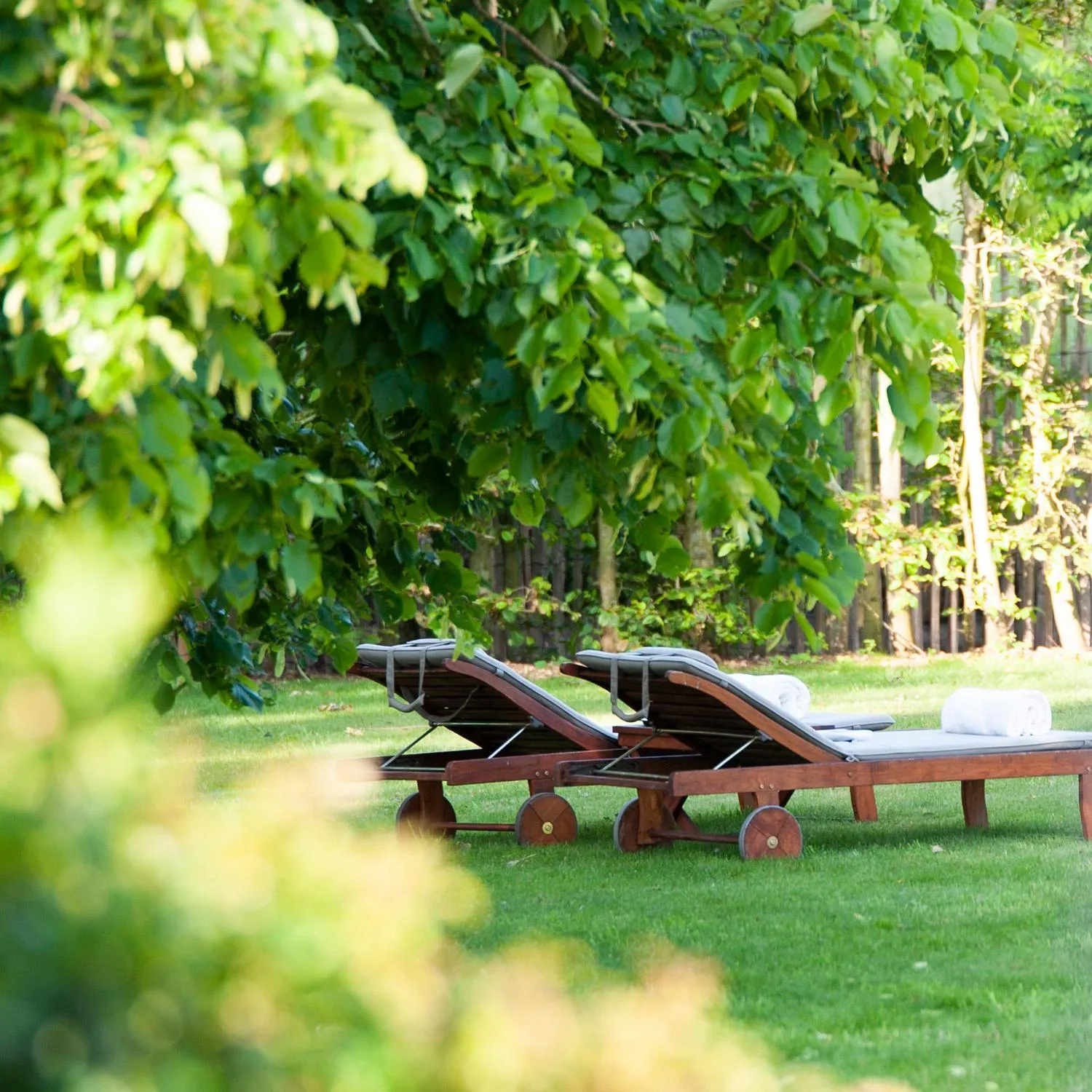 Garden in B&B Scheldekant