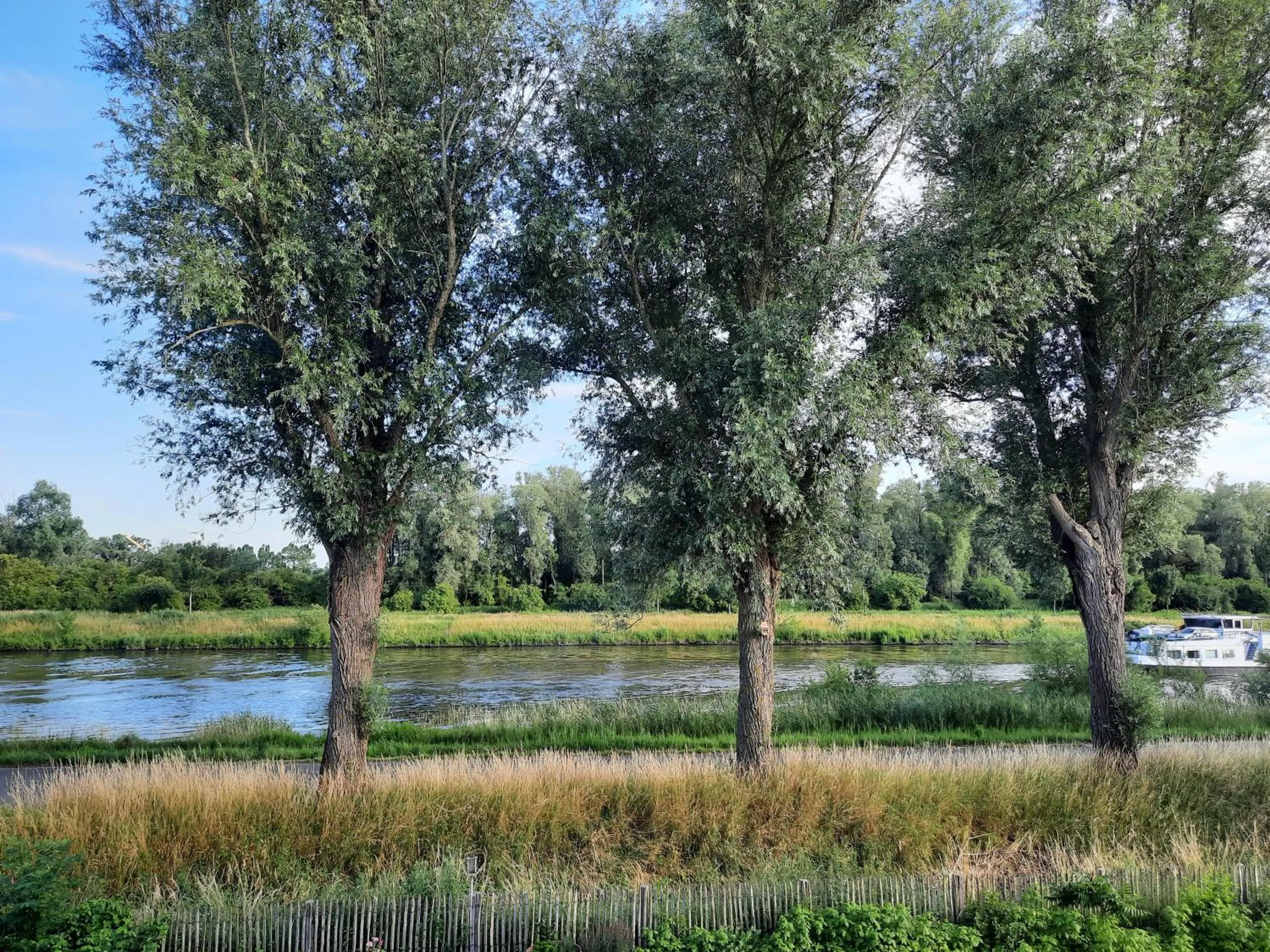 Natural landscape in B&B Scheldekant