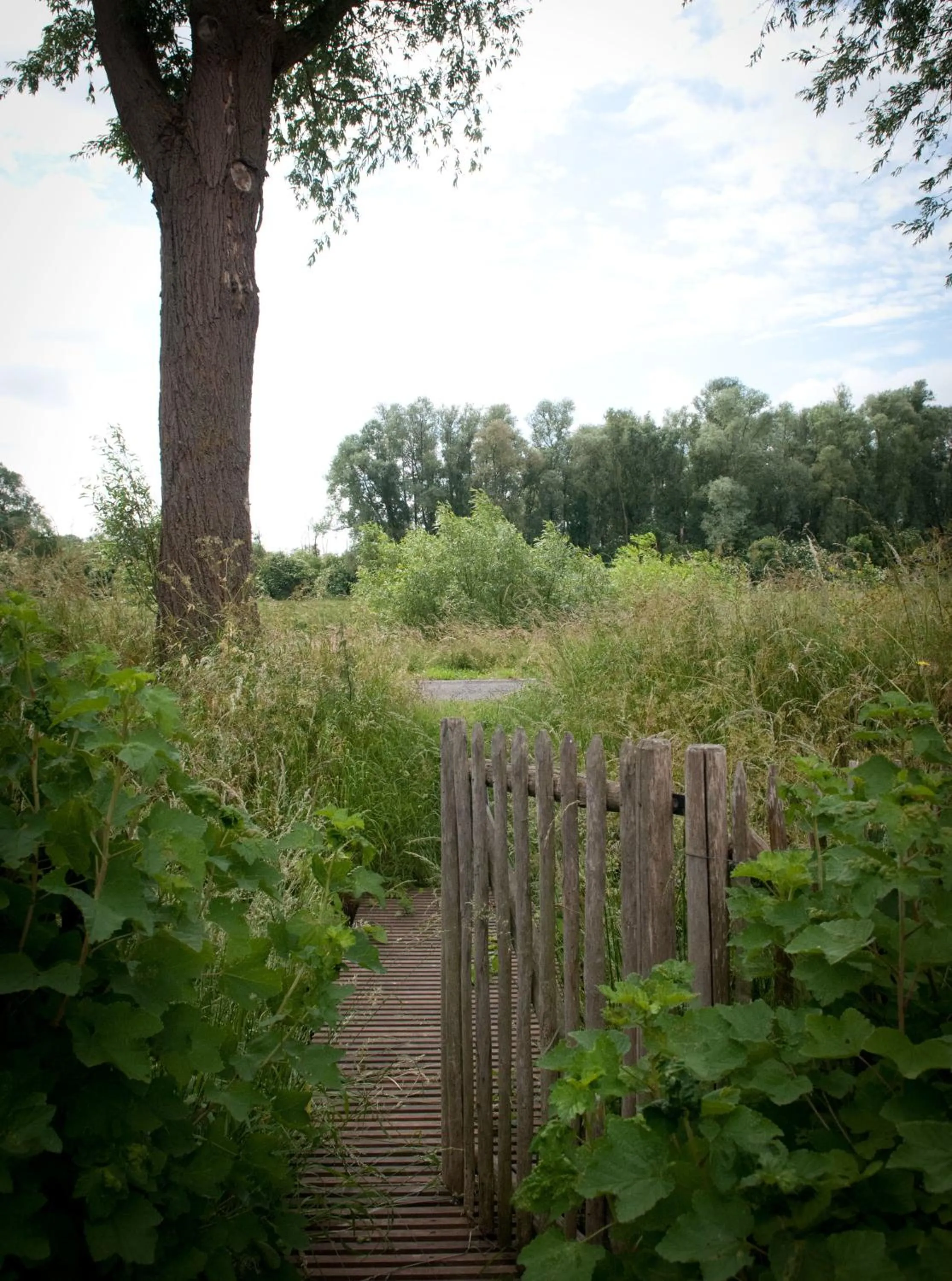 Cycling in B&B Scheldekant