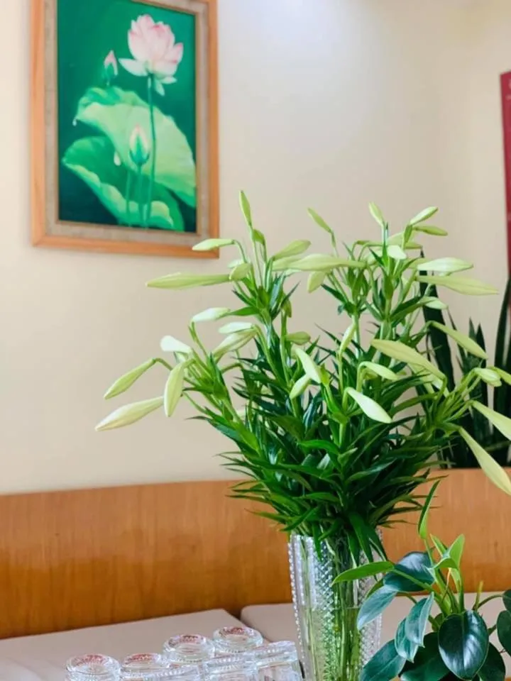 Lobby or reception in Sen Trang Hotel