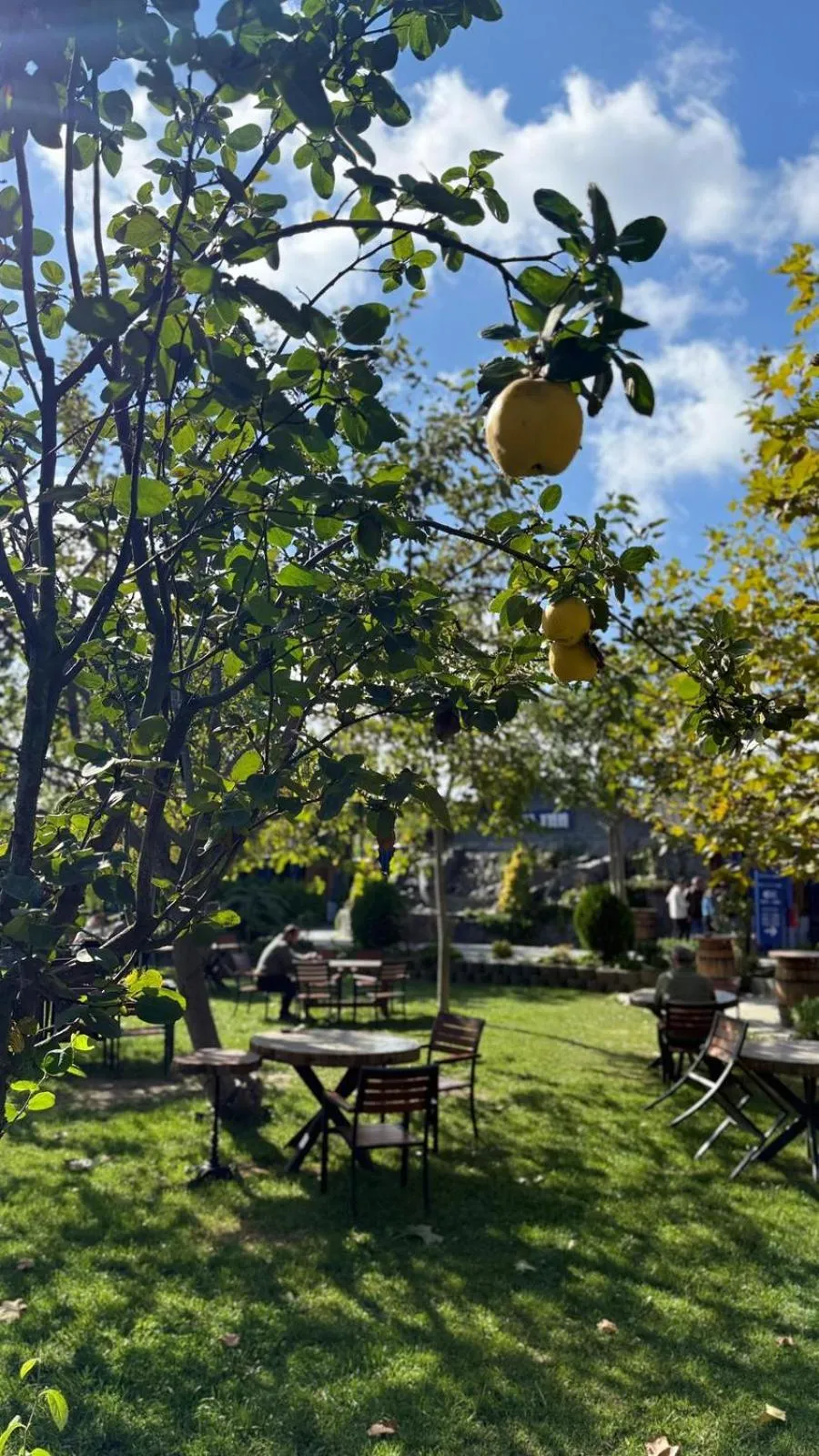 Navy Inn & Bungalows