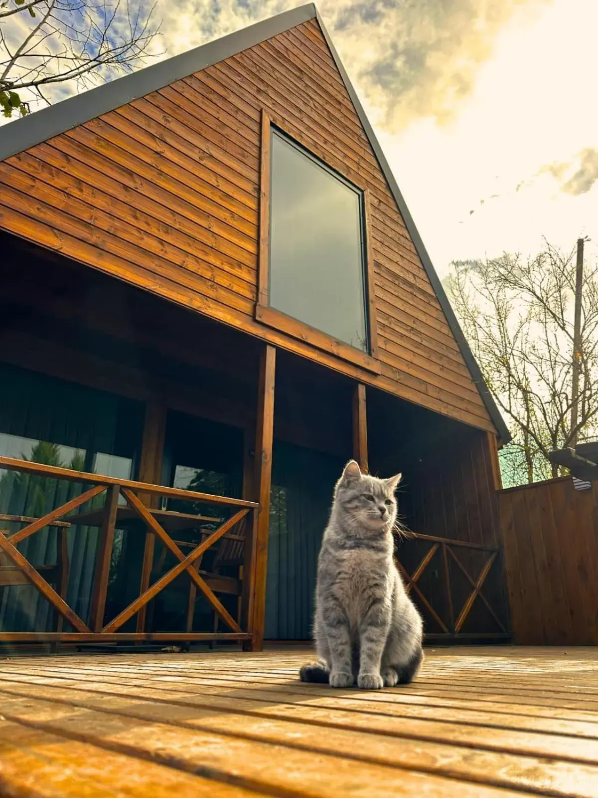 Deluxe Bungalow with Garden View in Navy Inn & Bungalows Deluxe Bungalow with Garden View in Navy Inn & Bungalows