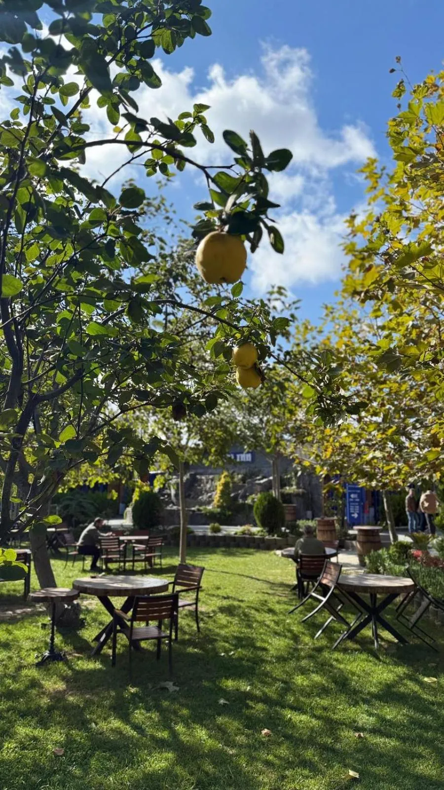 Navy Inn & Bungalows