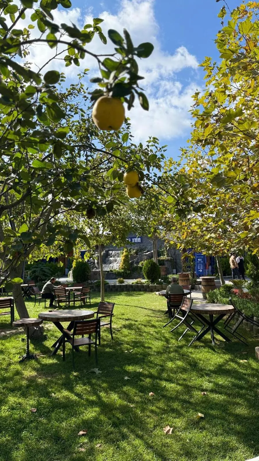 Navy Inn & Bungalows