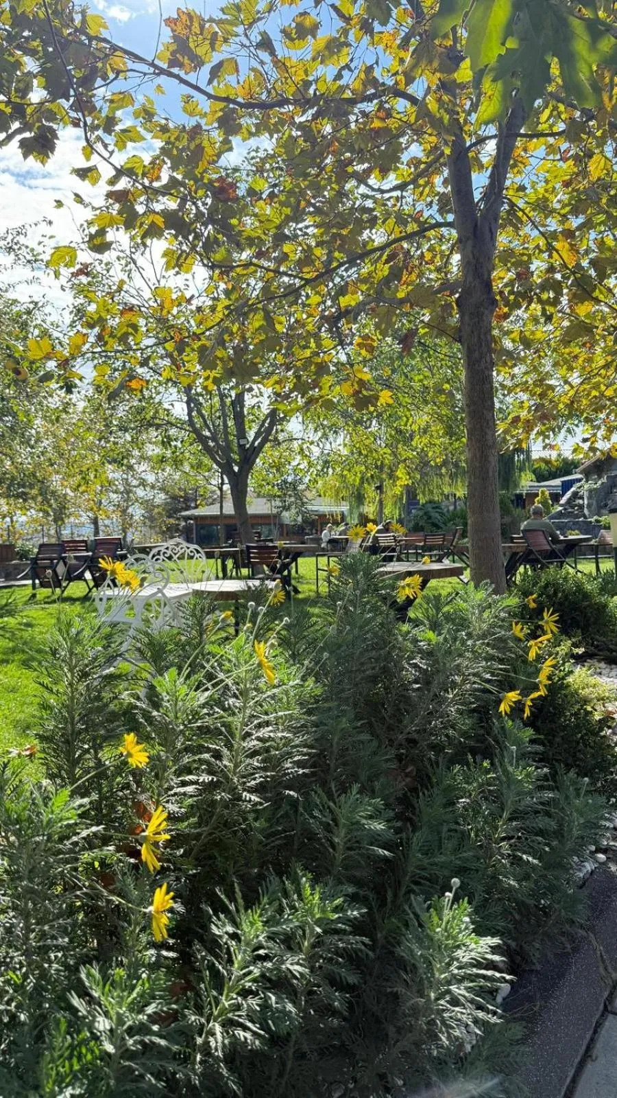 Navy Inn & Bungalows