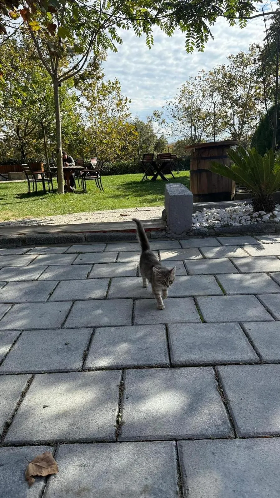 Navy Inn & Bungalows